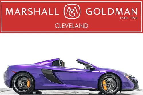 
           
        2016 McLaren 650S Spyder -Full Purple