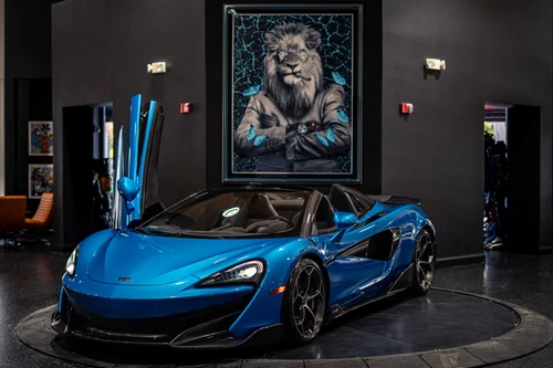 
           
        2020 McLaren 600LT Spider MSO Ludus