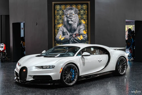 
           
        2019 Bugatti Chiron FULL PPF