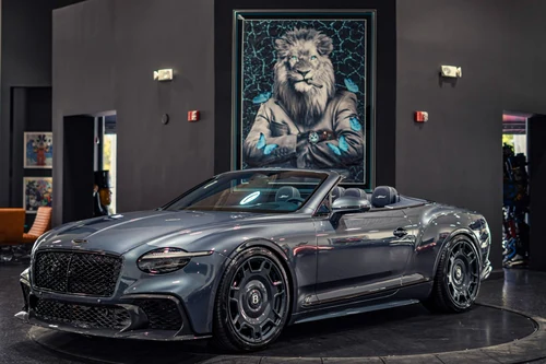 
           
        2025 Bentley Continental GTC Speed 1st