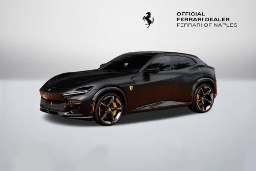 
           
        2026 Ferrari Purosangue Base