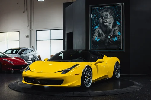 
           
        2013 Ferrari 458 Italia Collector Grade