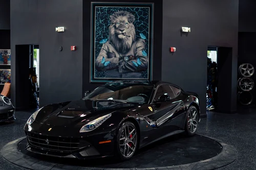 
           
        2014 Ferrari F12berlinetta Daytona Seats