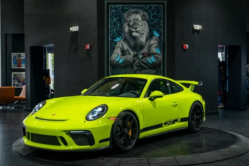 
           
        2018 Porsche 911 GT3 Paint to