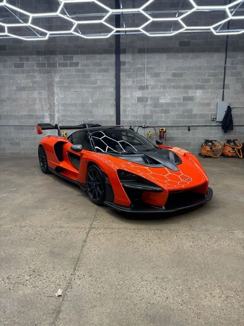 
           
        2019 McLaren Senna