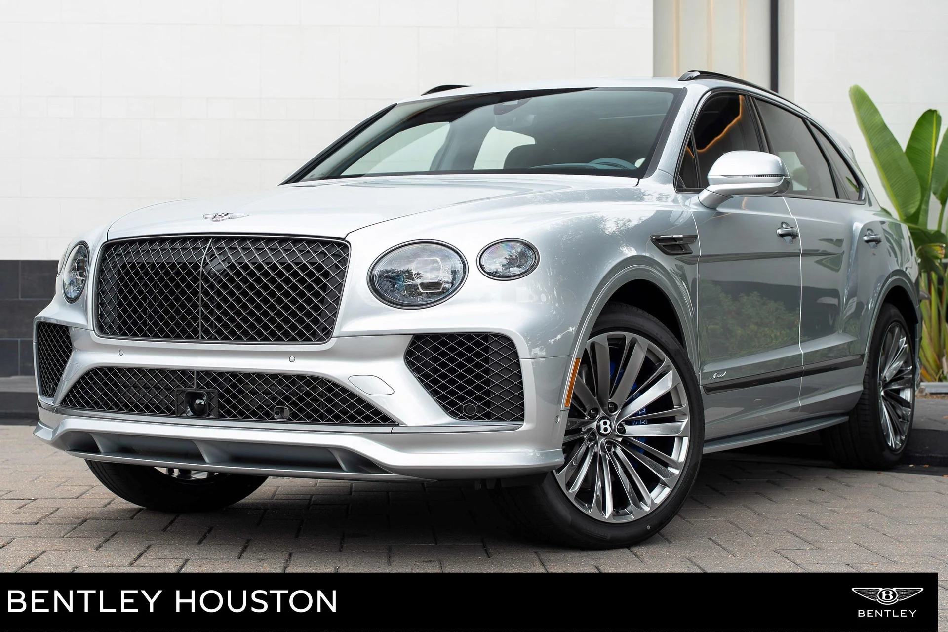 mph000_1255227004_477619924_6954c0004e73cd9f103f4fc1_948c1e1d5e