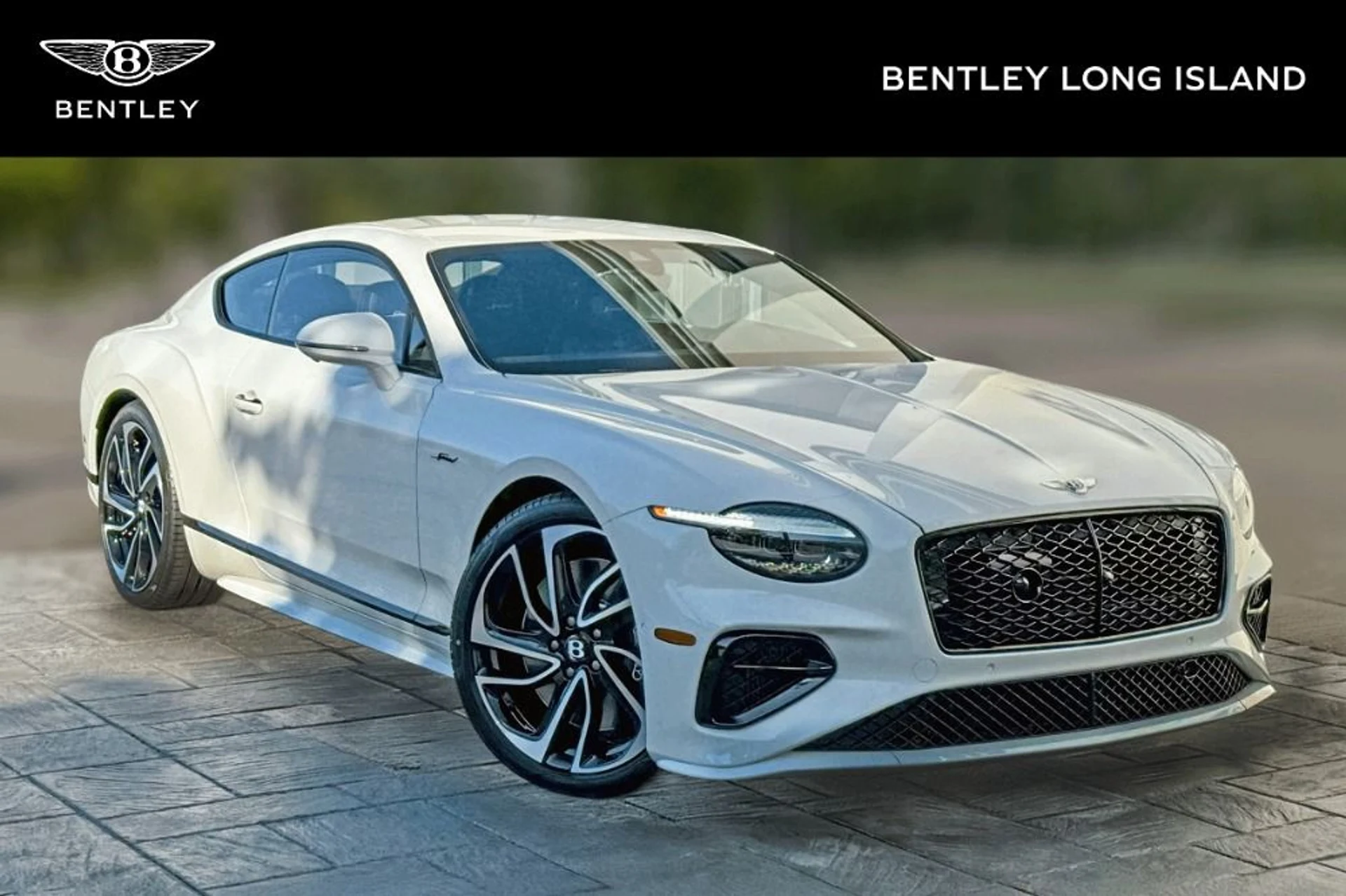 mph000_1689929234_New_2025_Bentley_Continental_GT_Speed_1739969218_1d8daf4684