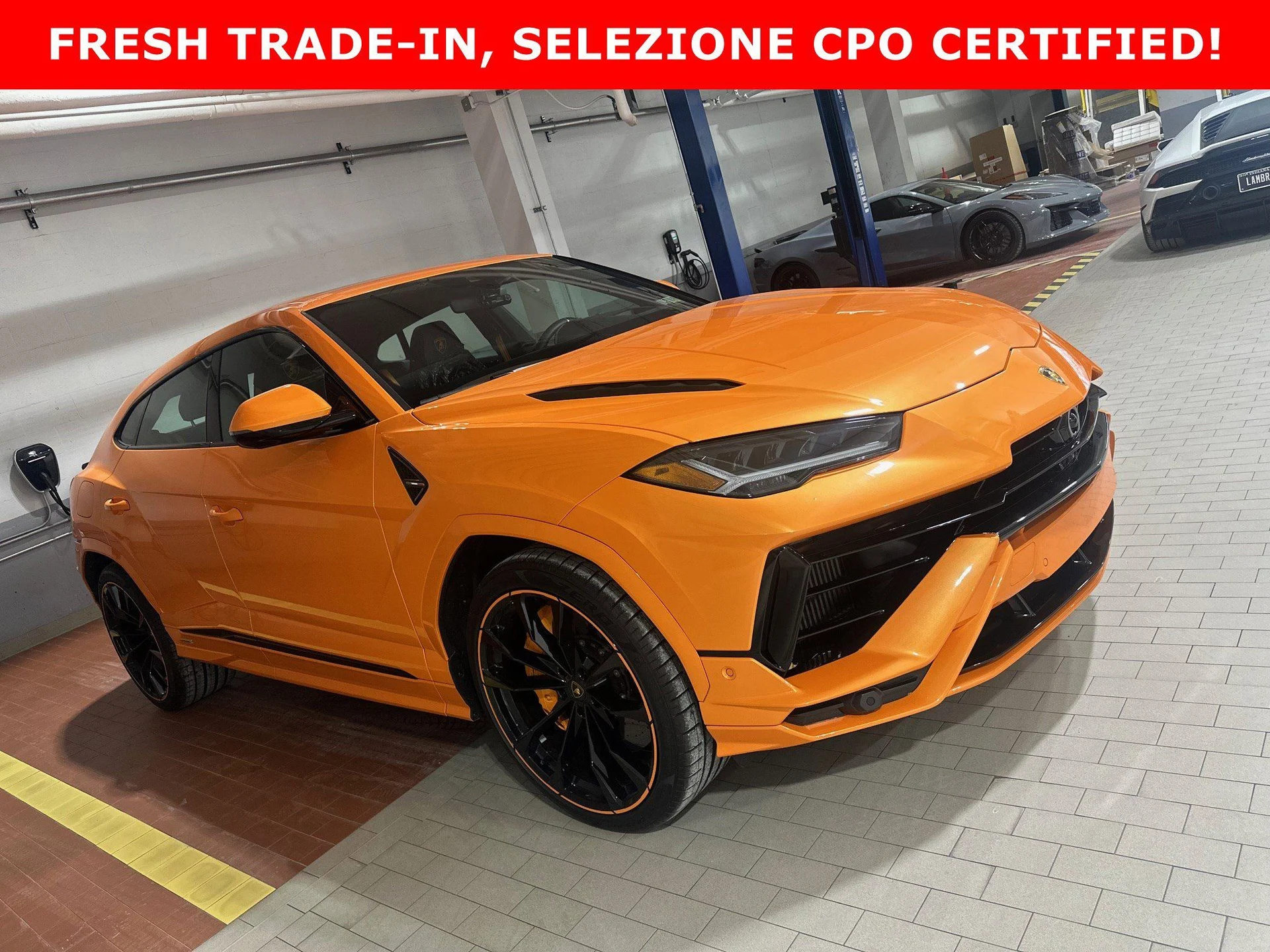 mph000_1781485370_d58f31c693fd7ddeb7b8c35da806581bx_191e6090f7