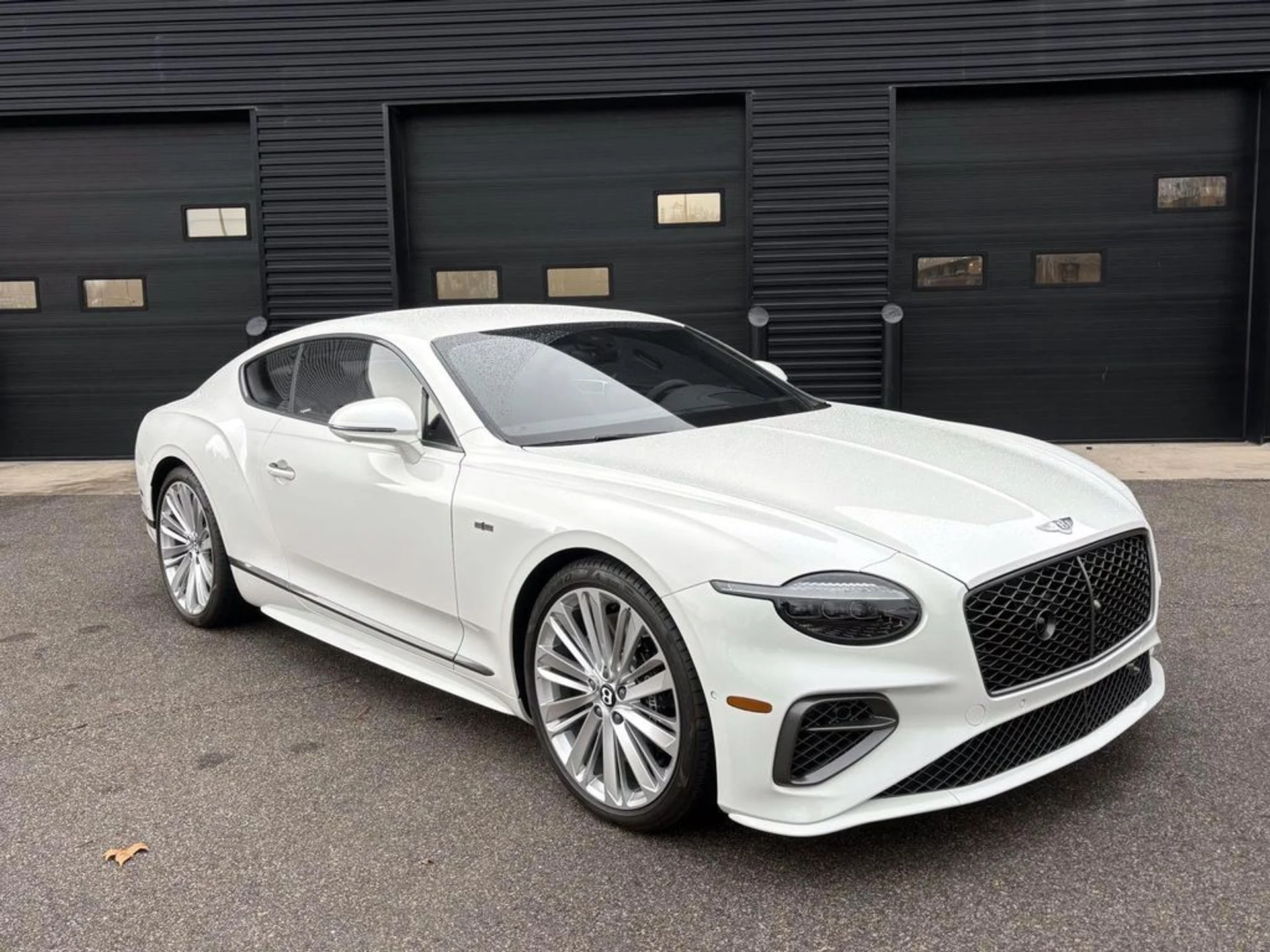 mph000_3044775059_9809765b3329eb27064123e7d897681ex_db2a97528c