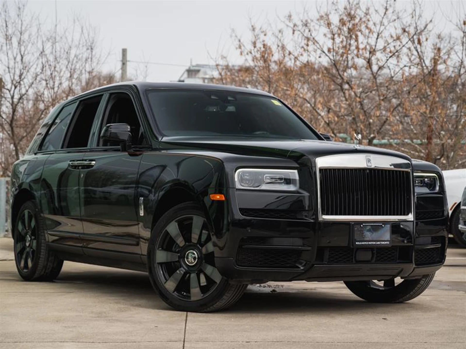 mph000_3219630_11799543_1773749826_56d871548c