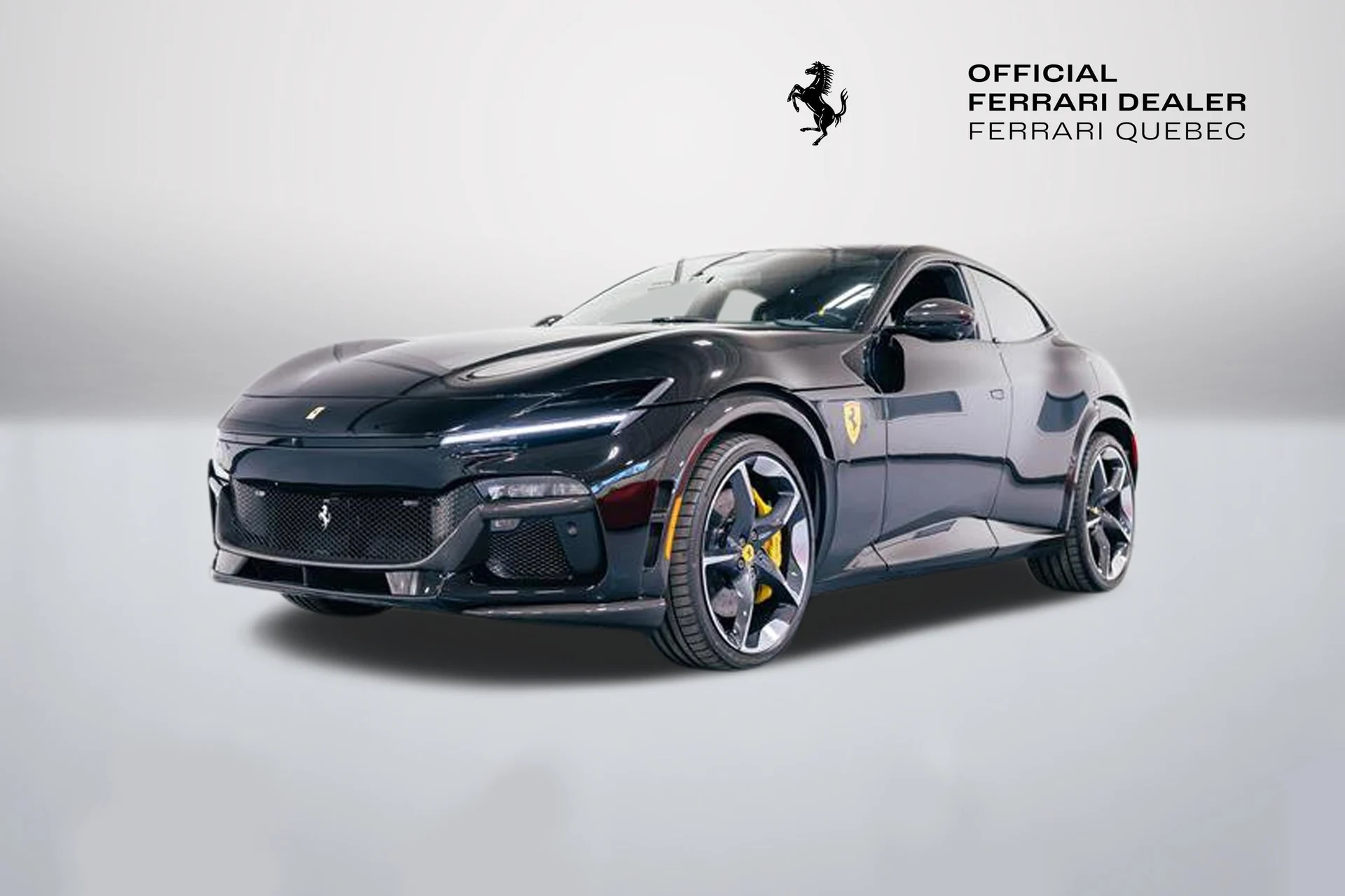 mph000_3600455481_e463232384aa4e47a1c06e65dc63964a_dab58fed01