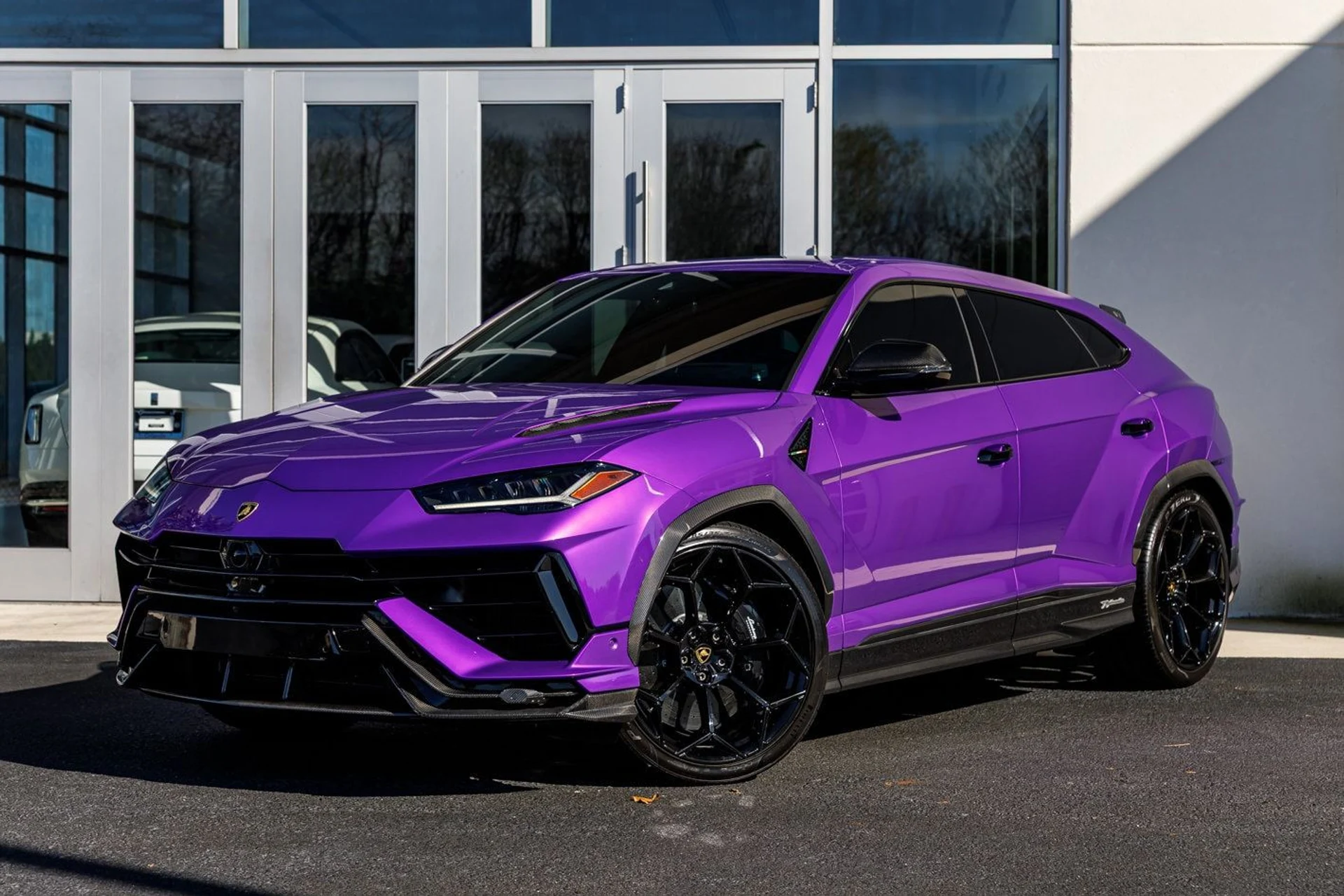 mph000_4067899722_84a6dd87ba93899a099a6afa0c5e9825x_361adc5af0