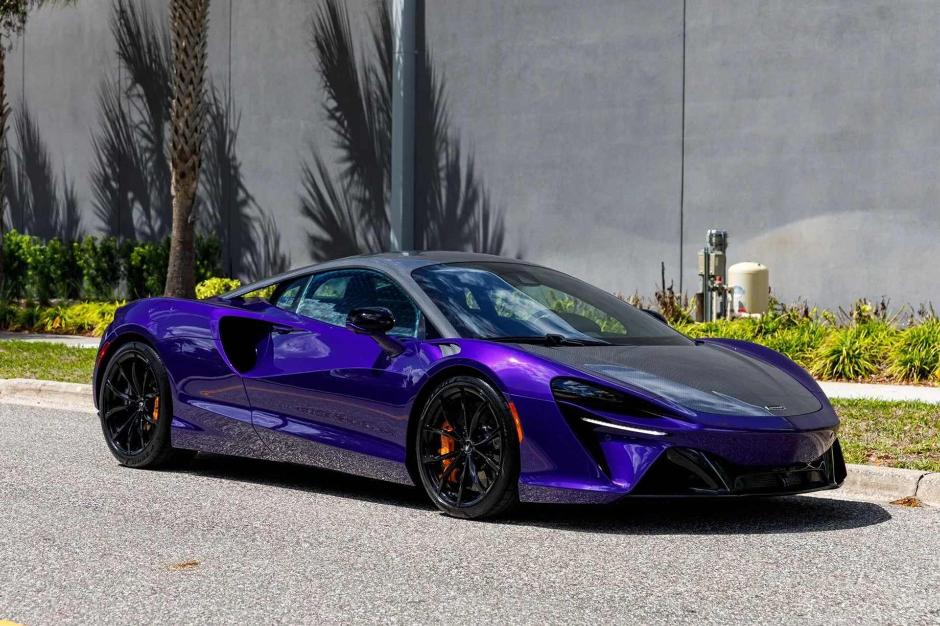 mph001_1015501413_362_p2_l_ef81963ca3