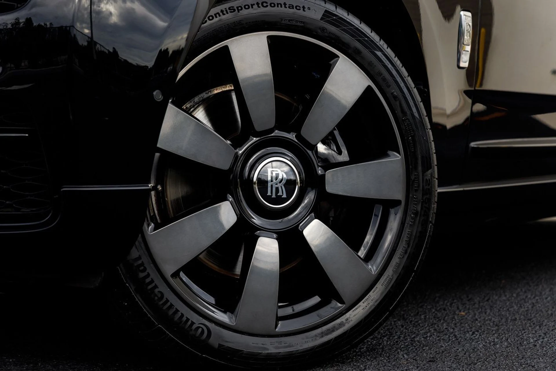 mph001_1062258612_ce923302d2278969ddace036ee116e16x_dfcbd39e0e