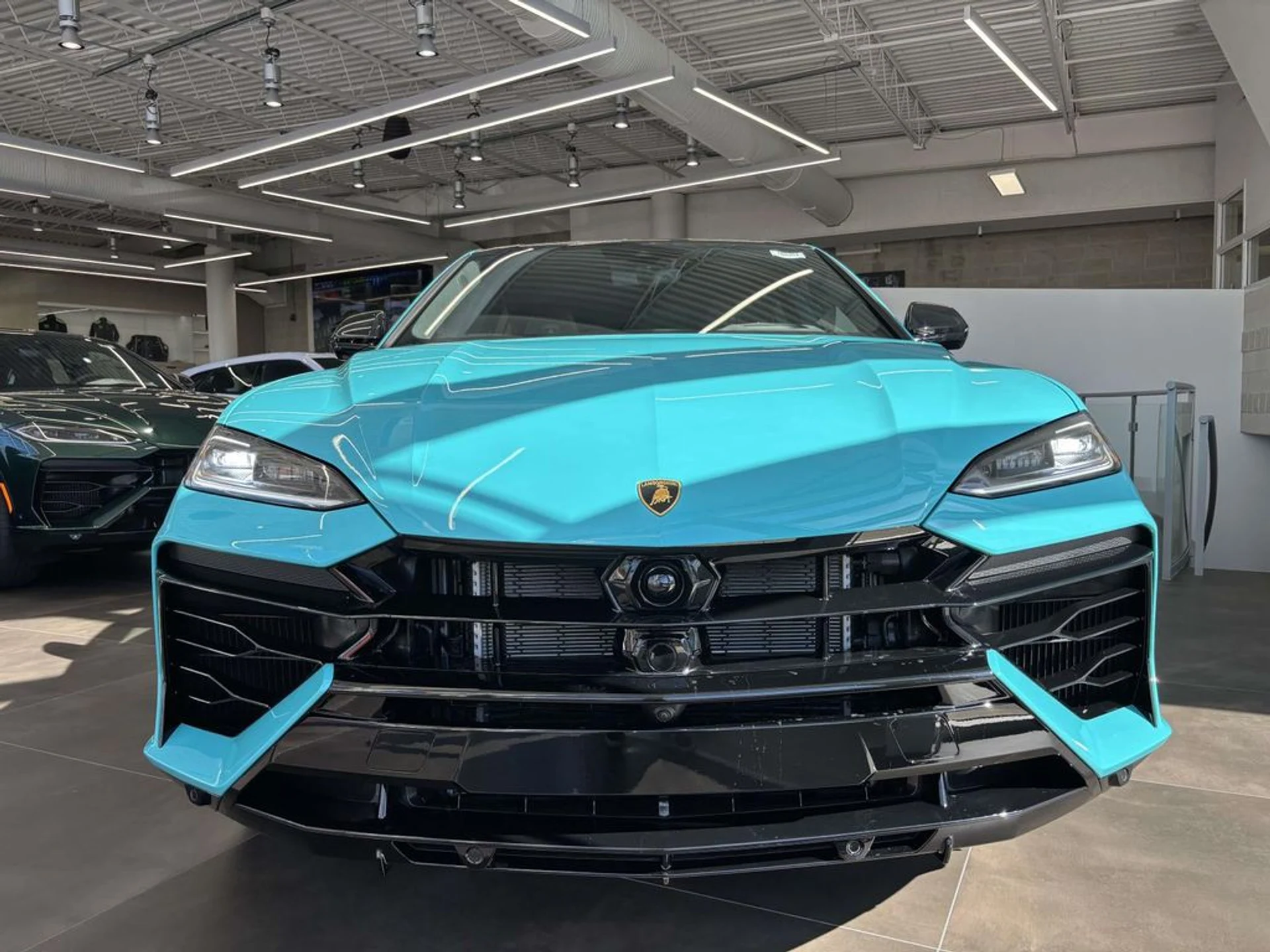 mph001_1108183973_f3ac0fa299b110e0dfe7bbe0ff755a72x_bbe2c5d37f