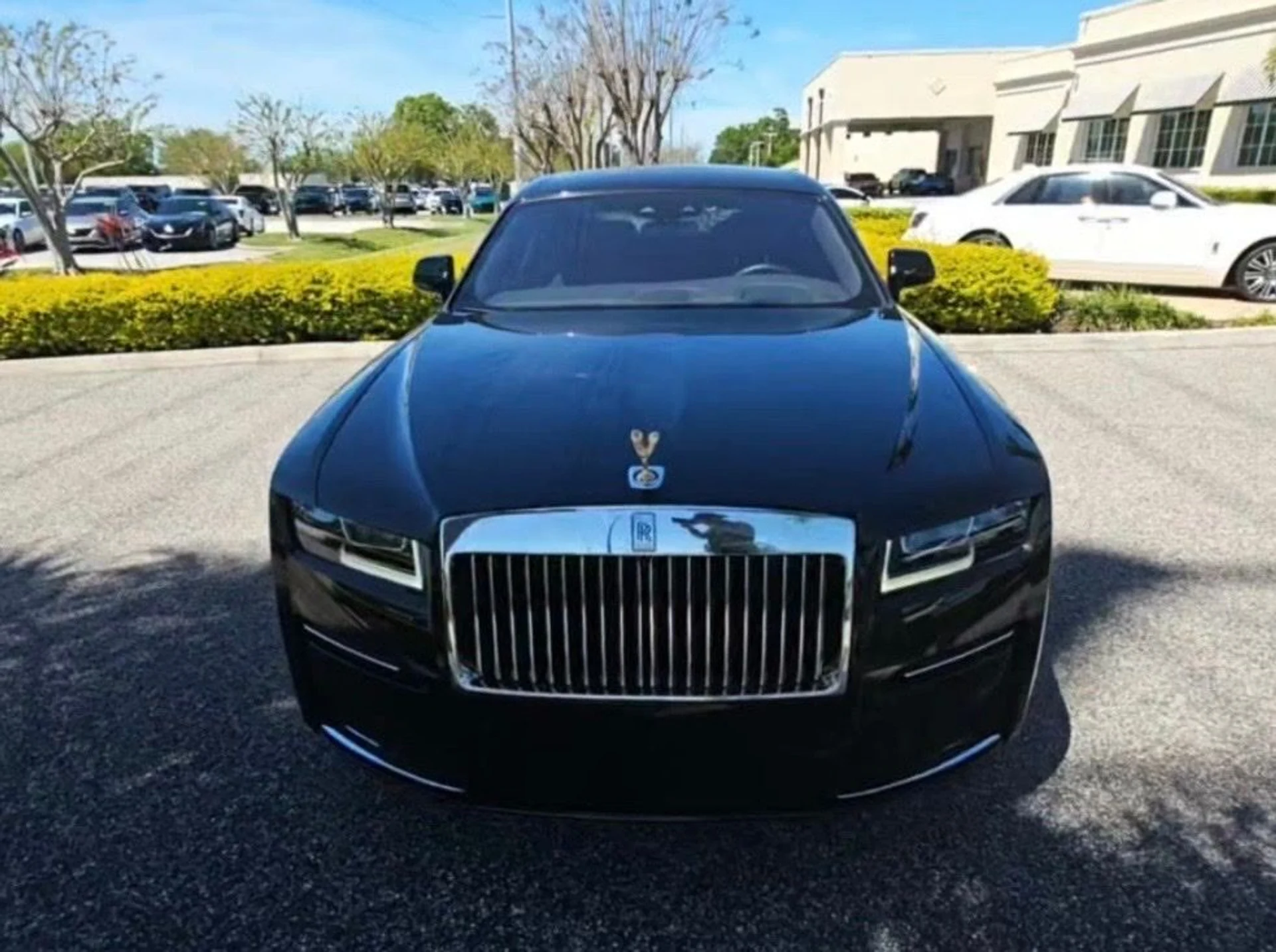 mph001_1224941884_qtx3zcv2vtov9m24laudl4ubgs2h_d5892985a6