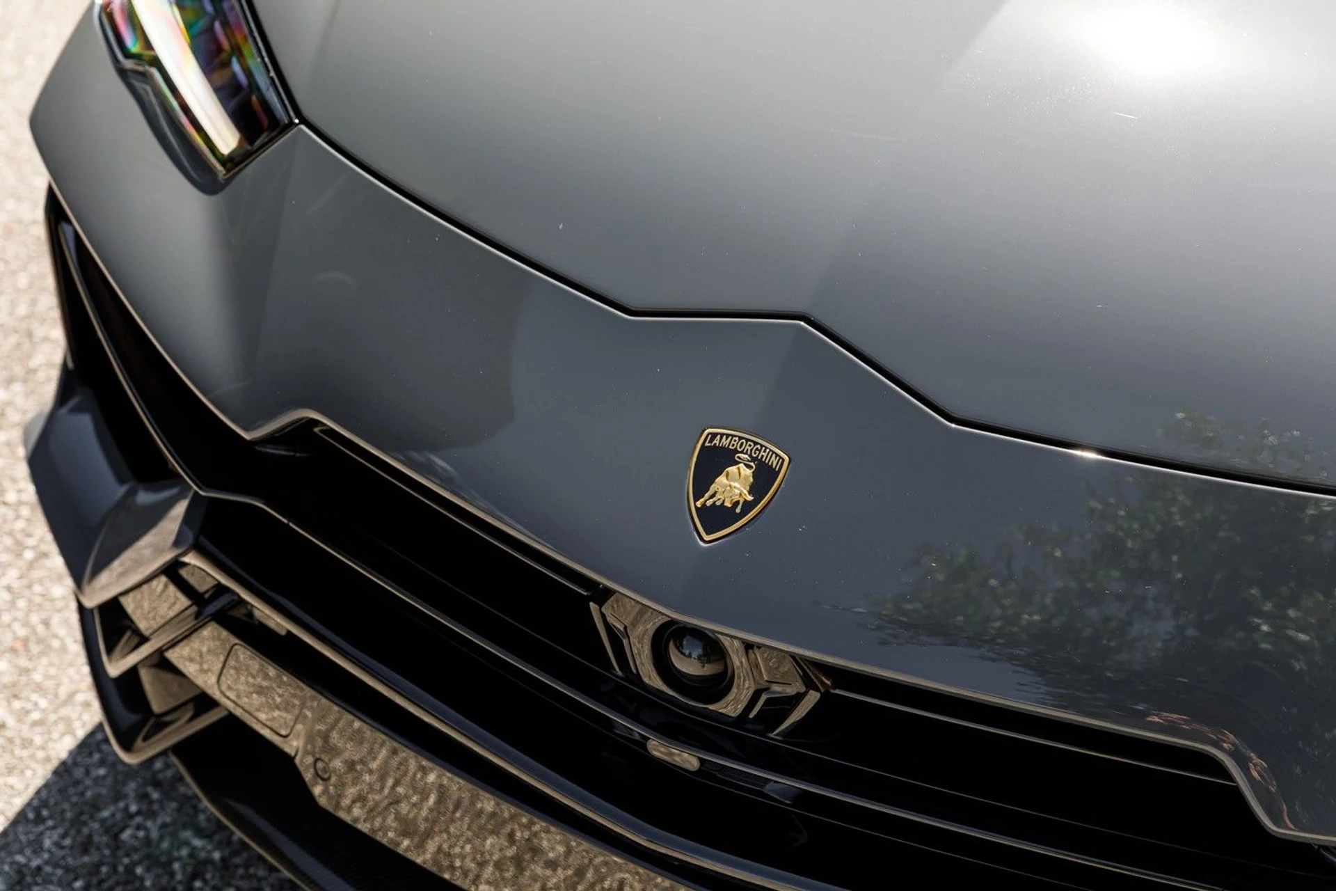 mph001_1255505073_667_p2_l_f135aa29b1