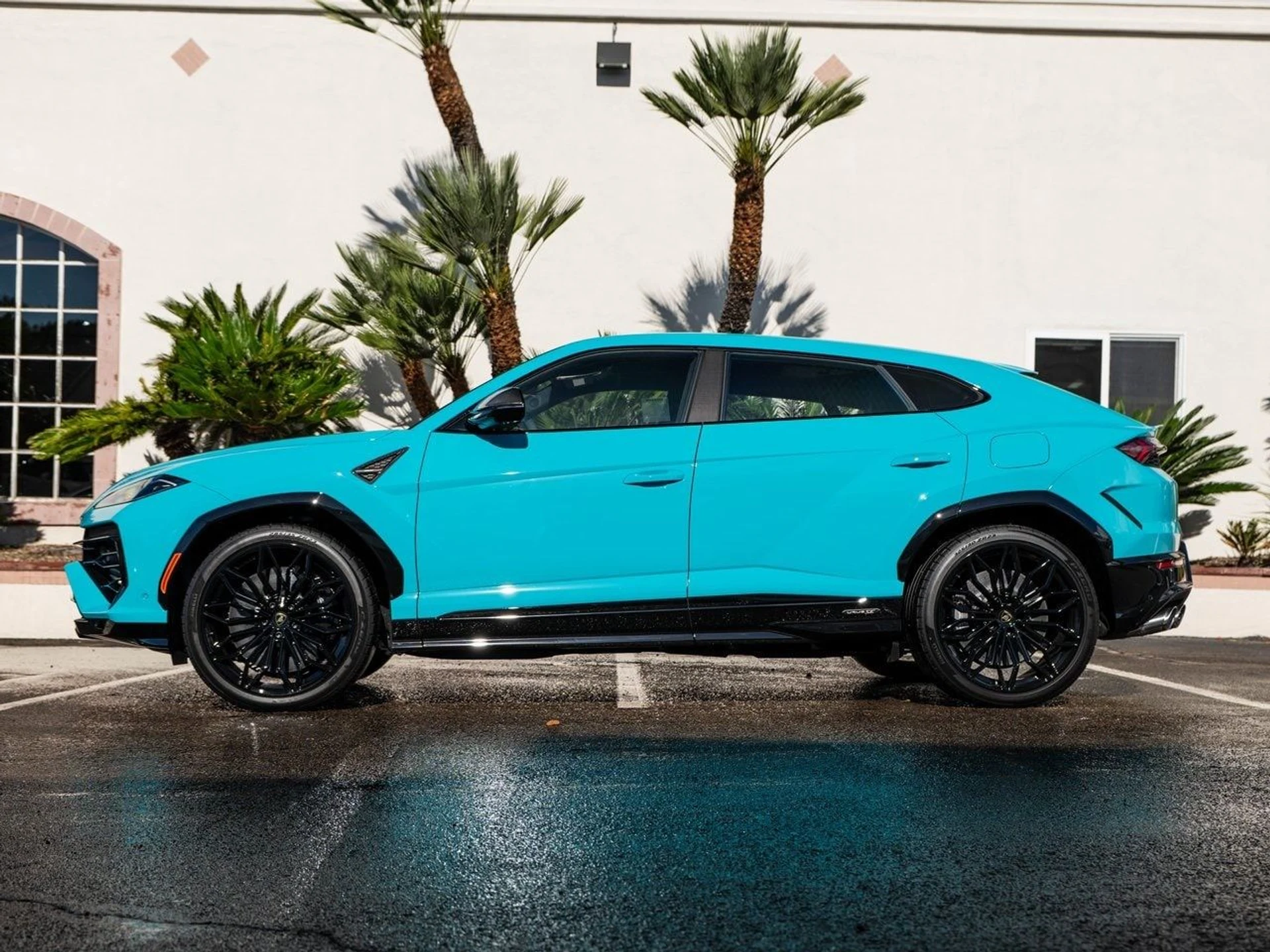 mph001_1278469330_9b081494d58434d4126df145fc3e2615x_543aed966e