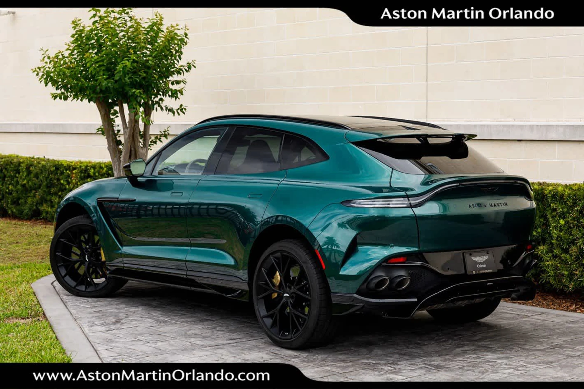 mph001_1301031113_2_6331e5d939