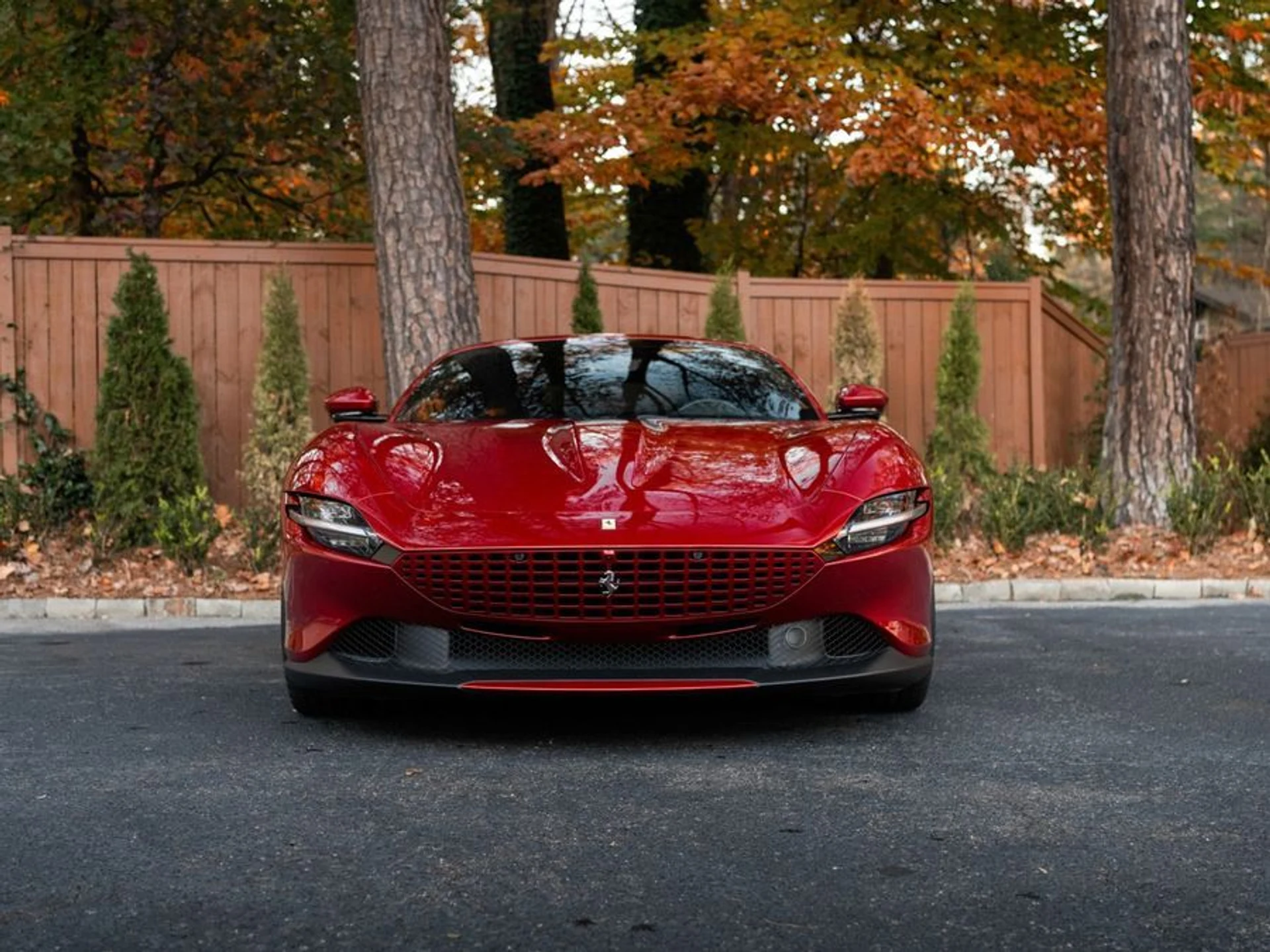 mph001_1530895588_ef3645f4_70f8_412b_a3a2_f13715994942_fdba6f3639