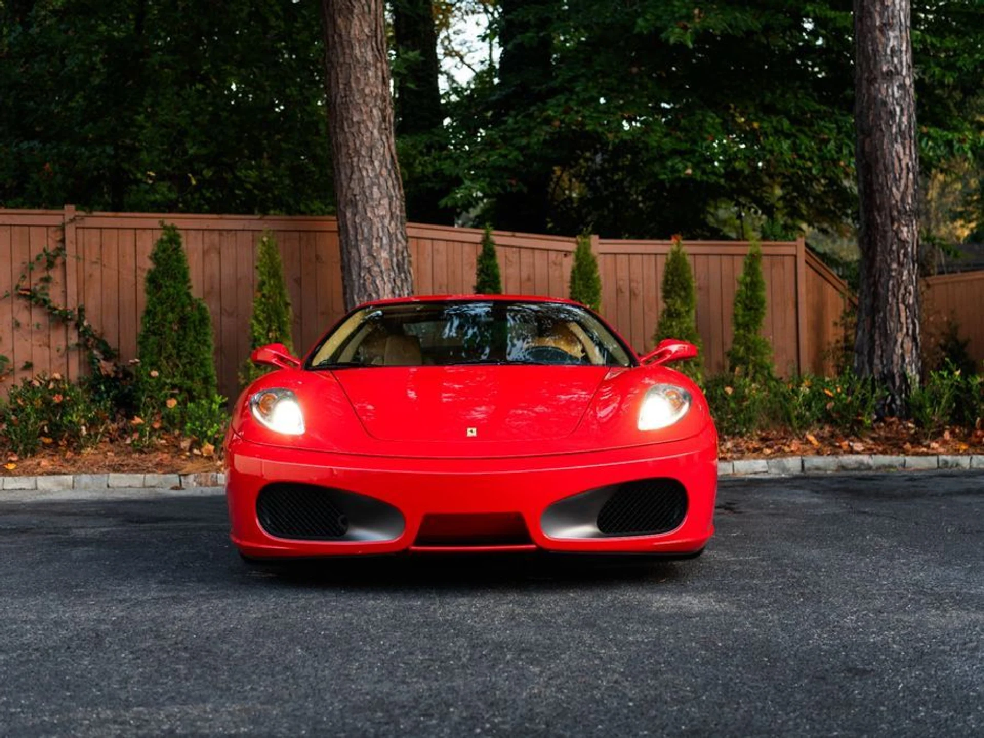 mph001_1541381687_8b7932ff_c998_413a_ba3b_e189a5bd7cd3_024ba59efd