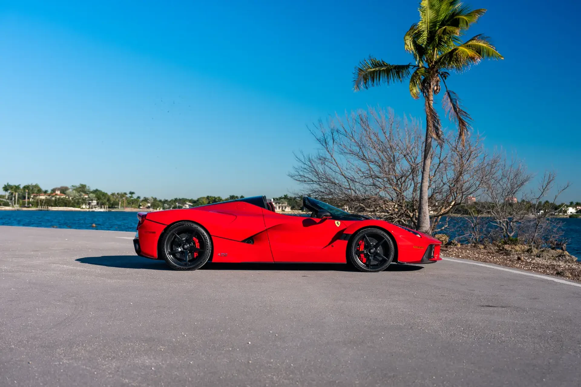 mph001_1652263079_697397327e41977ffee80dec_gallery_image_1_1769183023452_47be1e34d8