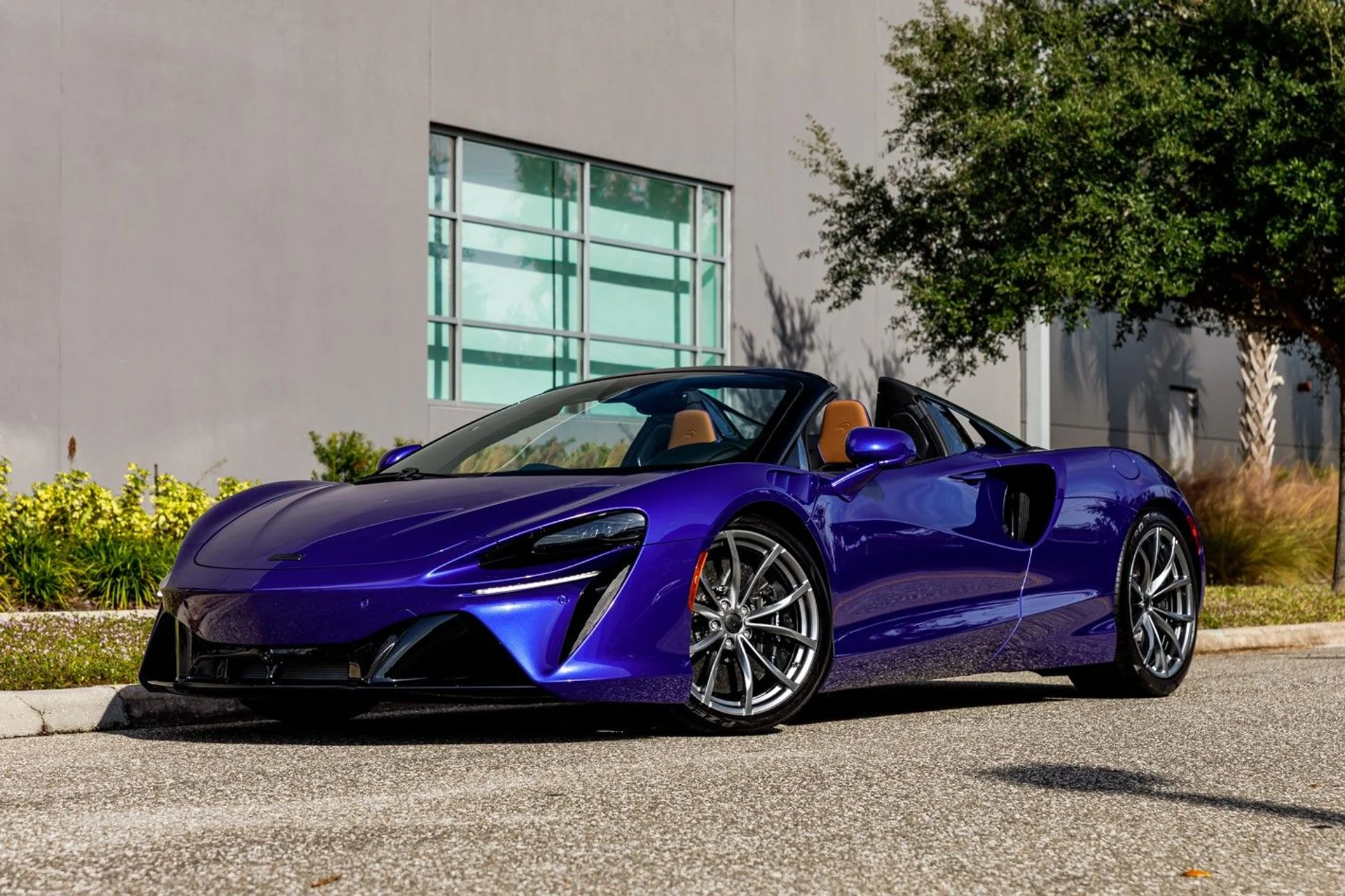 mph001_1831228966_620_p2_l_615a4dcbfa