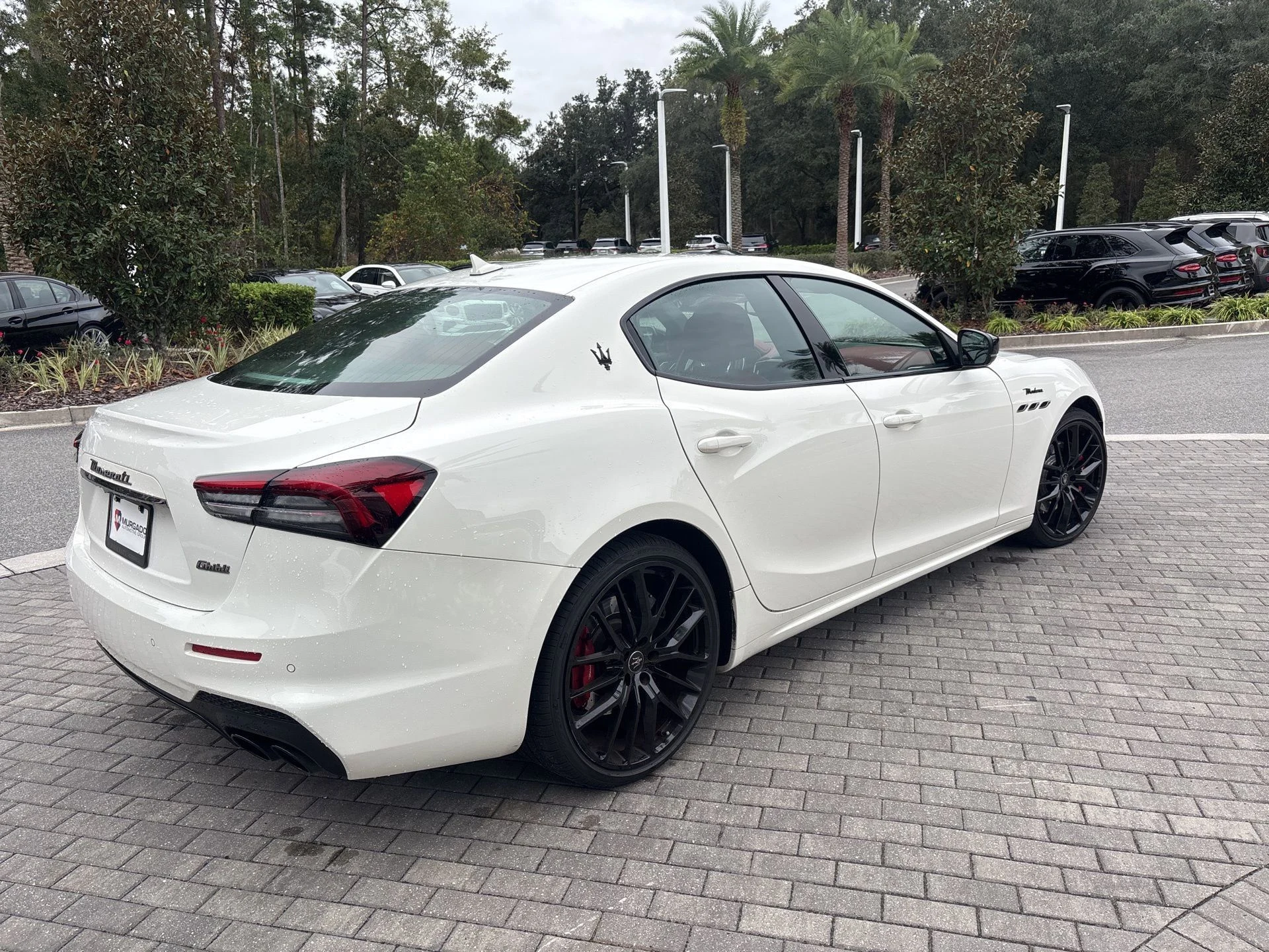 mph001_1950053311_0d7a2b9a687e451d9978700abf79ebcf_9e0ec293ac