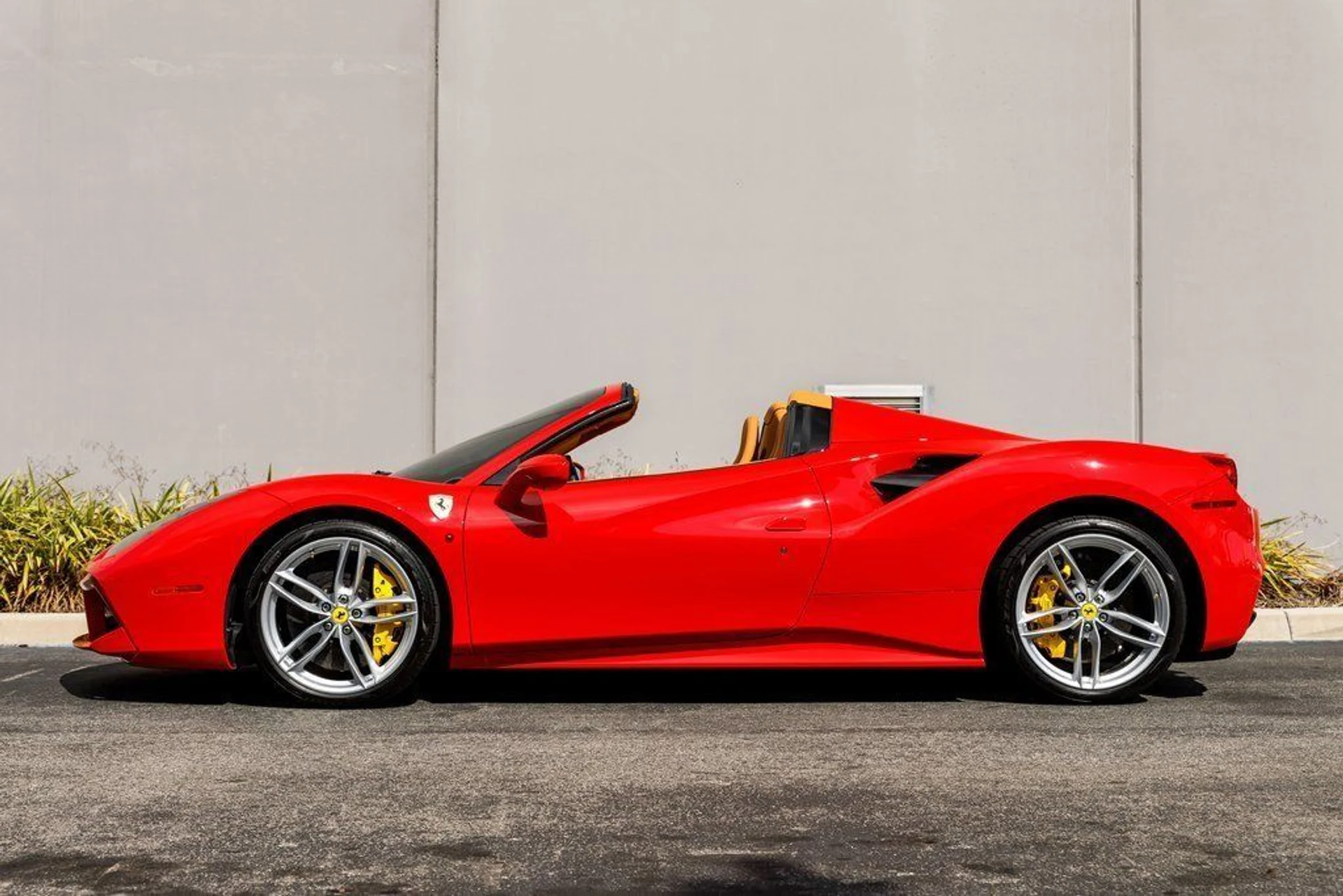 mph001_2100025207_1028dd95b1a8843972c405a0bdacc9b0_9fdb54d003