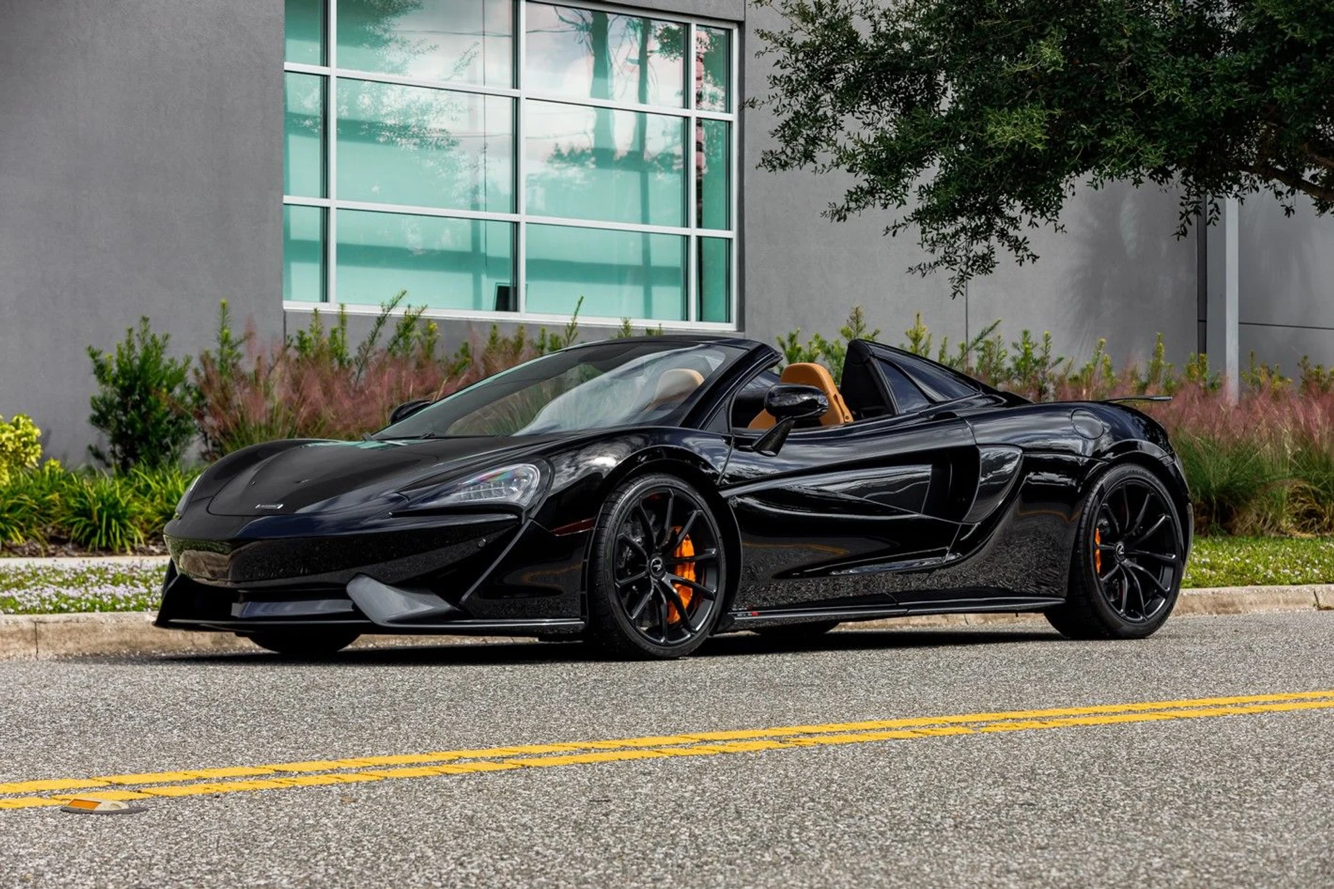 mph001_2176911662_608_p2_l_aa23fef8fd