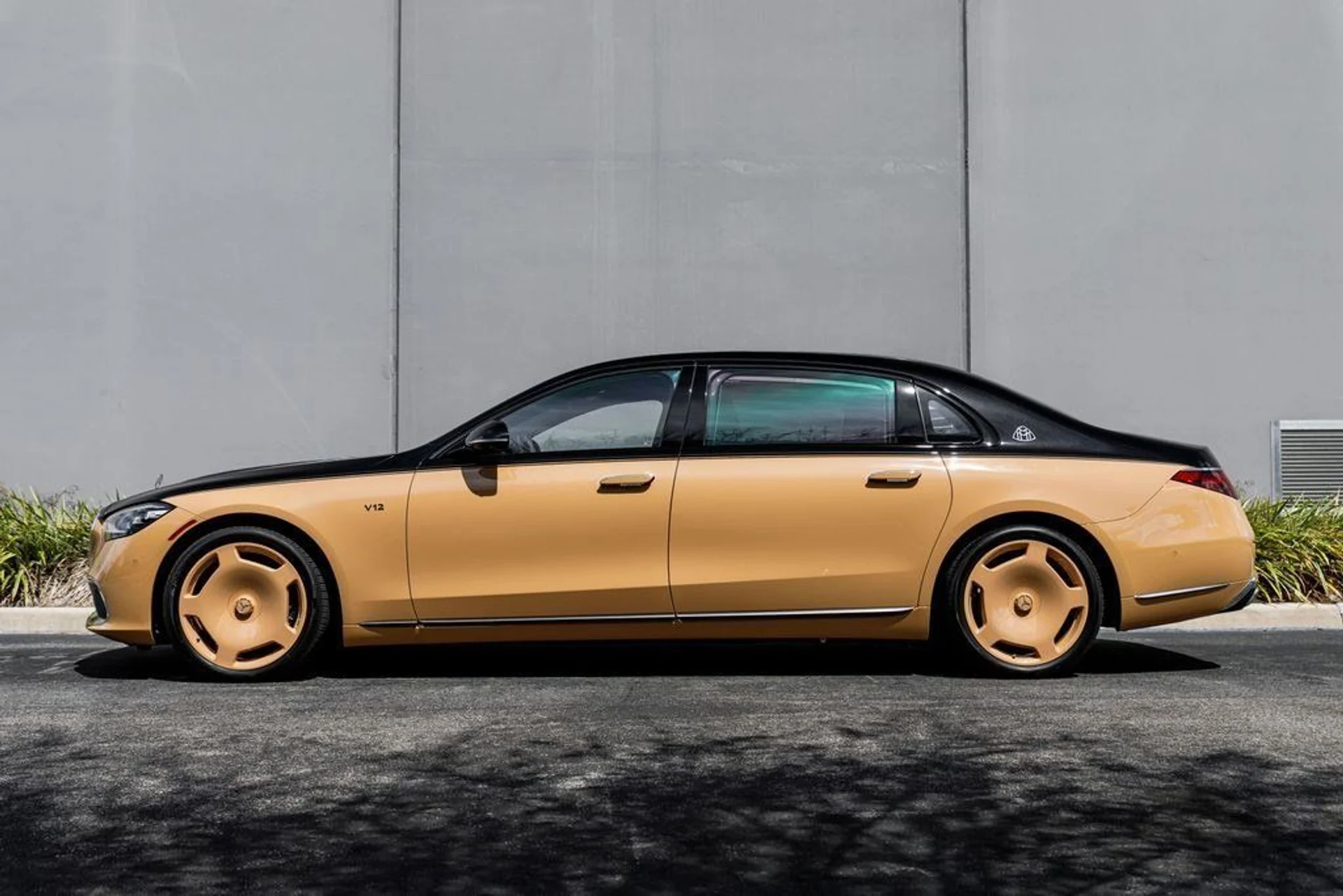 mph001_22232653_da525fb16e1466c0bf2b8321a979ad51_1786584f9f