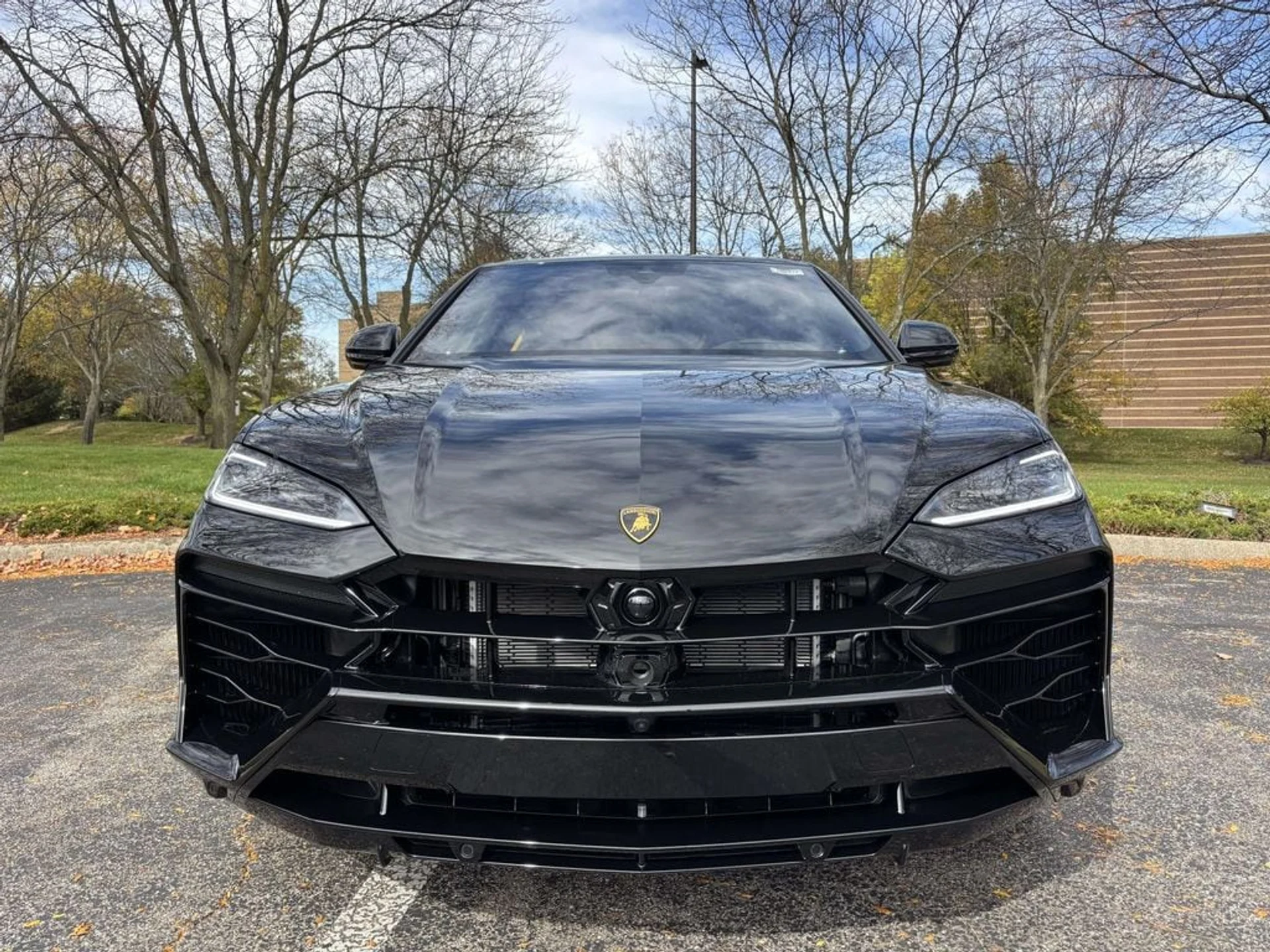 mph001_2415839209_39ab282a3adb27ecae8126216349402ax_c7d9cc7eff