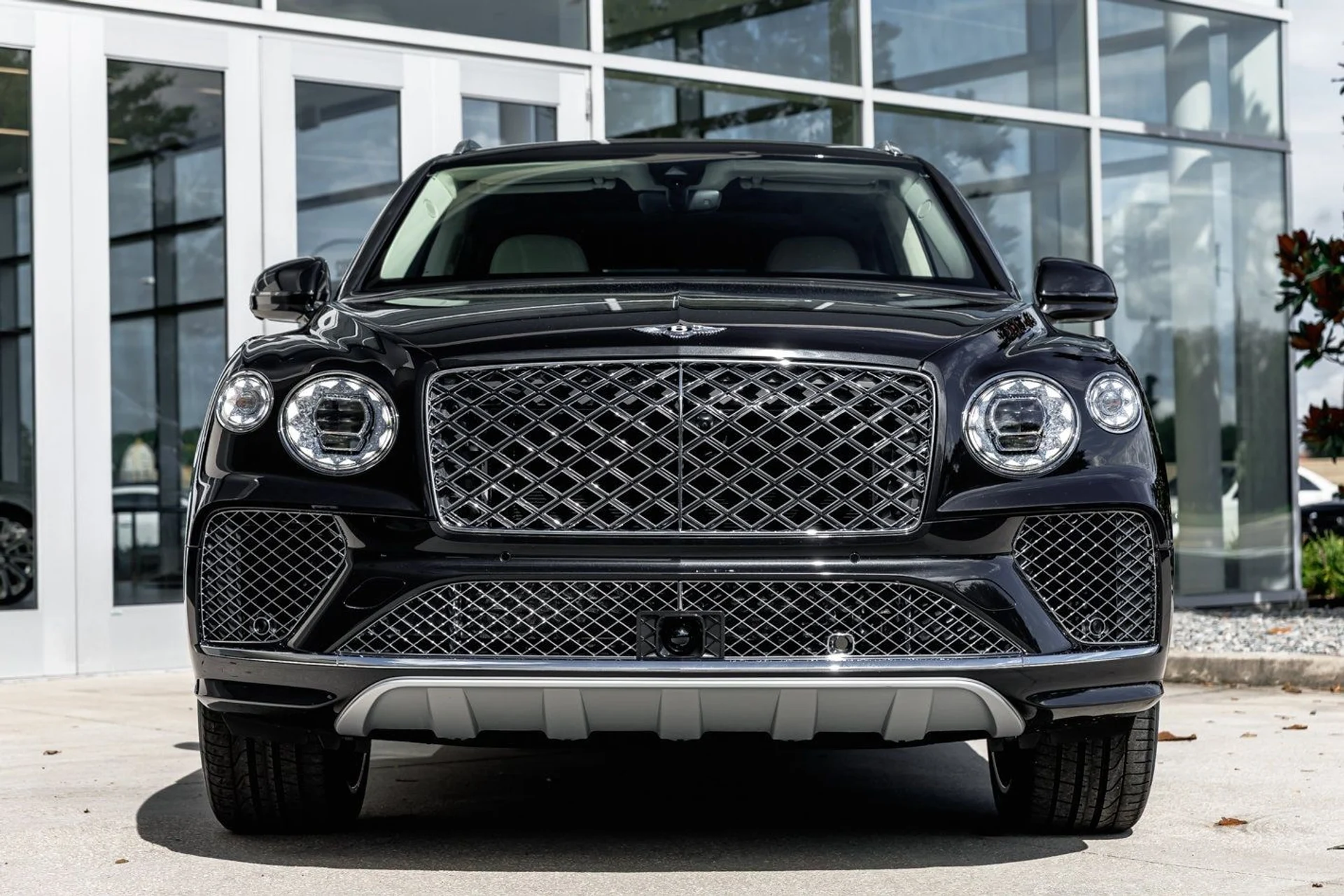 mph001_2580003338_0d0bb18c992454bbdbf452873782f88ax_7e6b240543