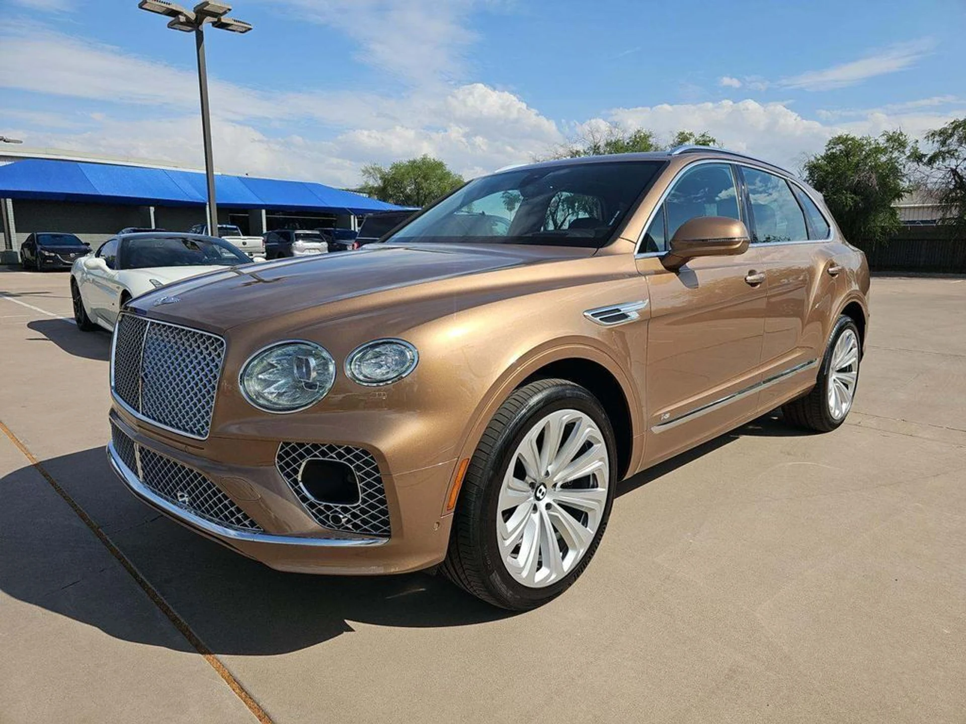 mph001_2601709262_3w35z7j8stigd5gur4ryat1daste_349d4e76c1