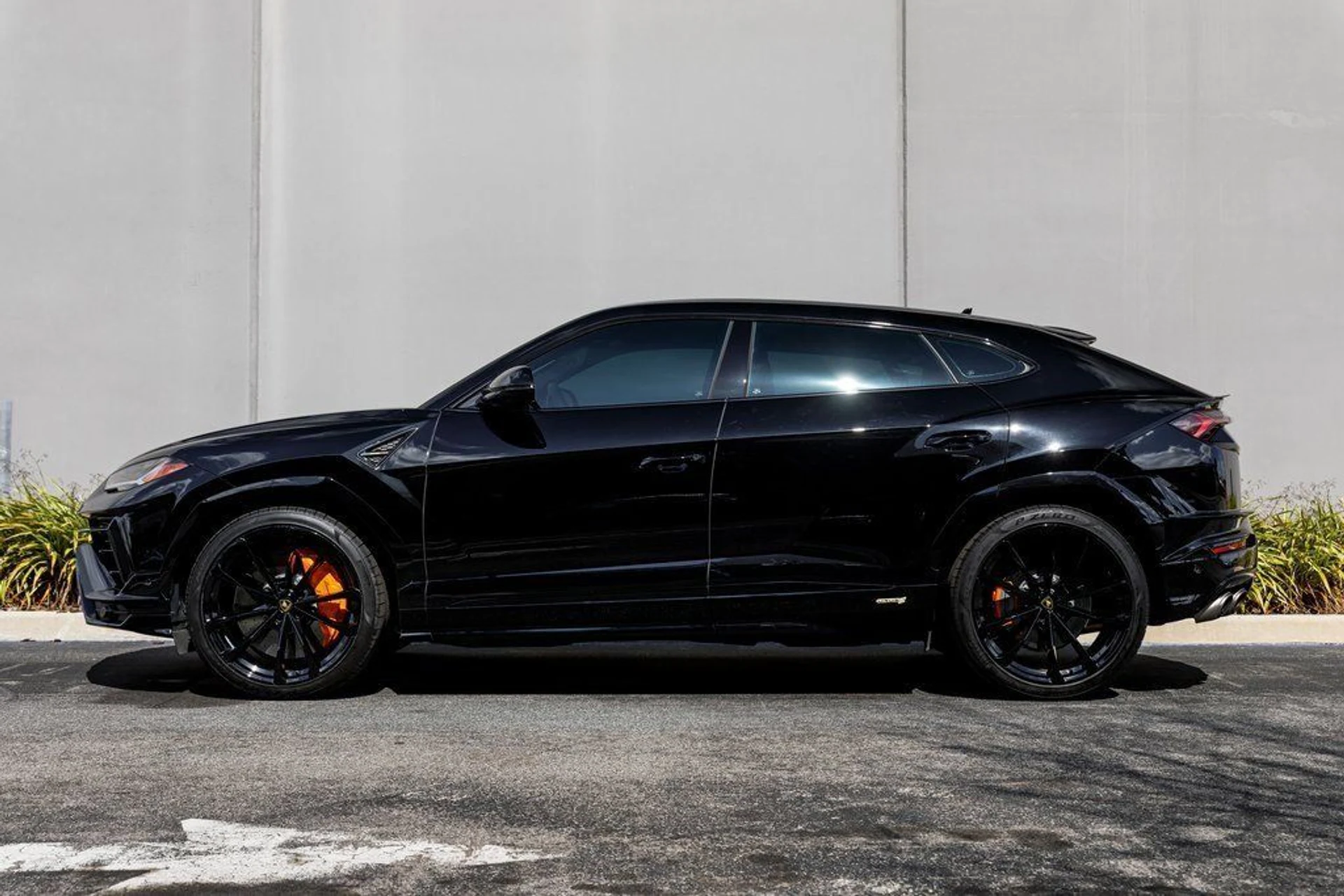 mph001_2613542899_1b7df586160a15715f51f787b03b381e_539bb64d64