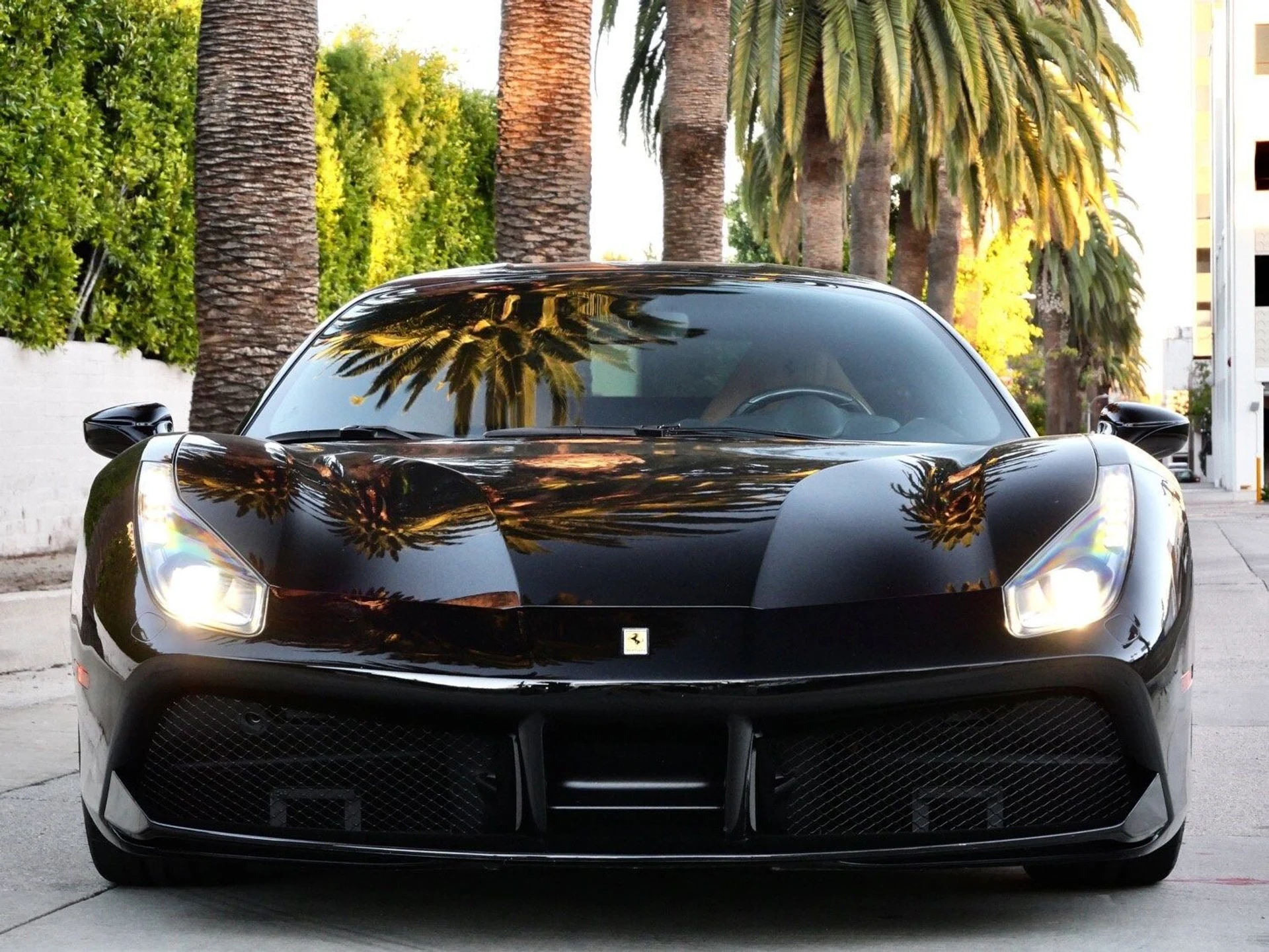 mph001_275734342_bed1ada060cc854b26a9881cb1e6fb67x_1afdd276a6