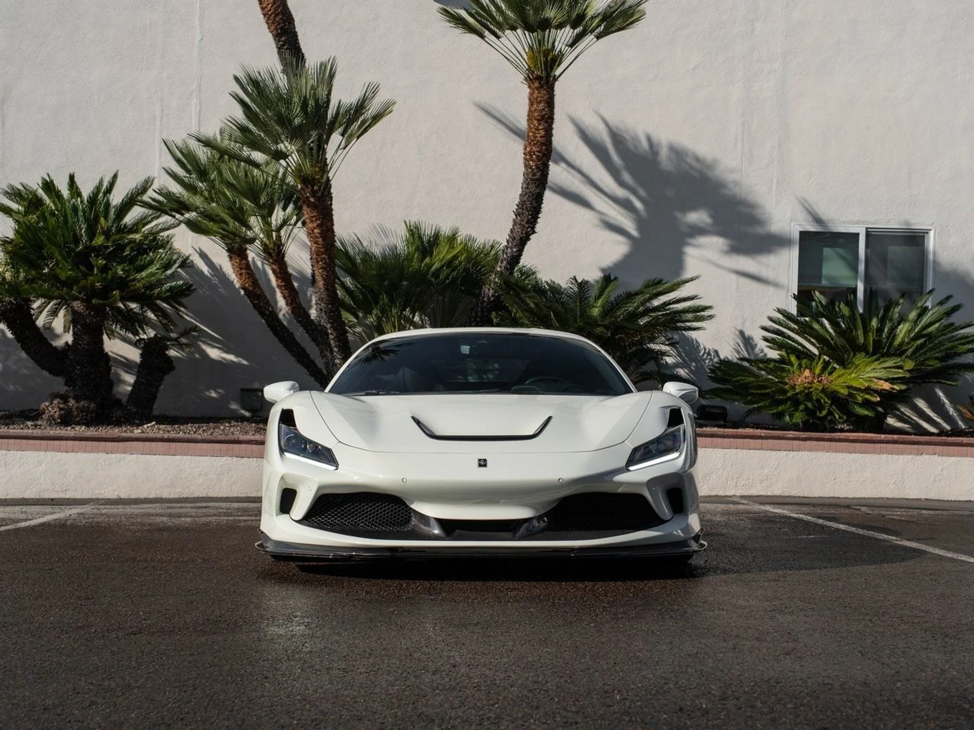 mph001_3097598194_07b304a90cd7137295d407d22b6533e4x_1dee680a3e