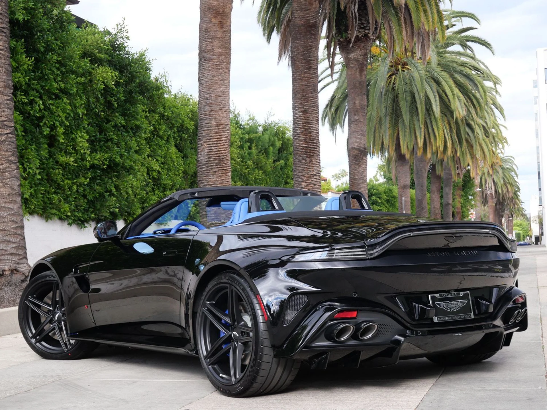 mph001_3097719027_8159ec818e11bd6eb333b8e75c8d0f14x_f040cb853a