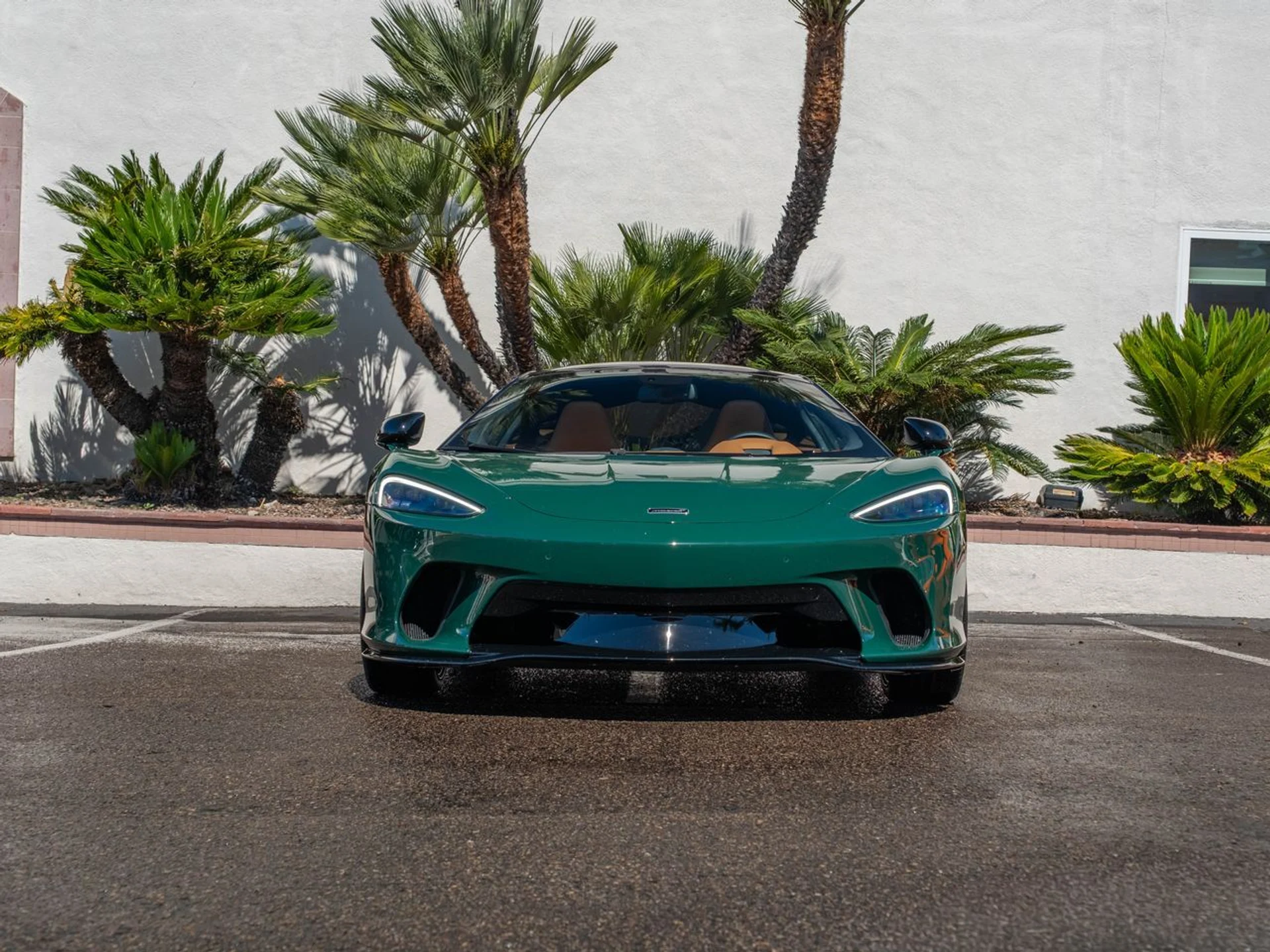 mph001_3140133228_1aae5b6698230ab3caa629359502c8fbx_c0d1b3a7d4