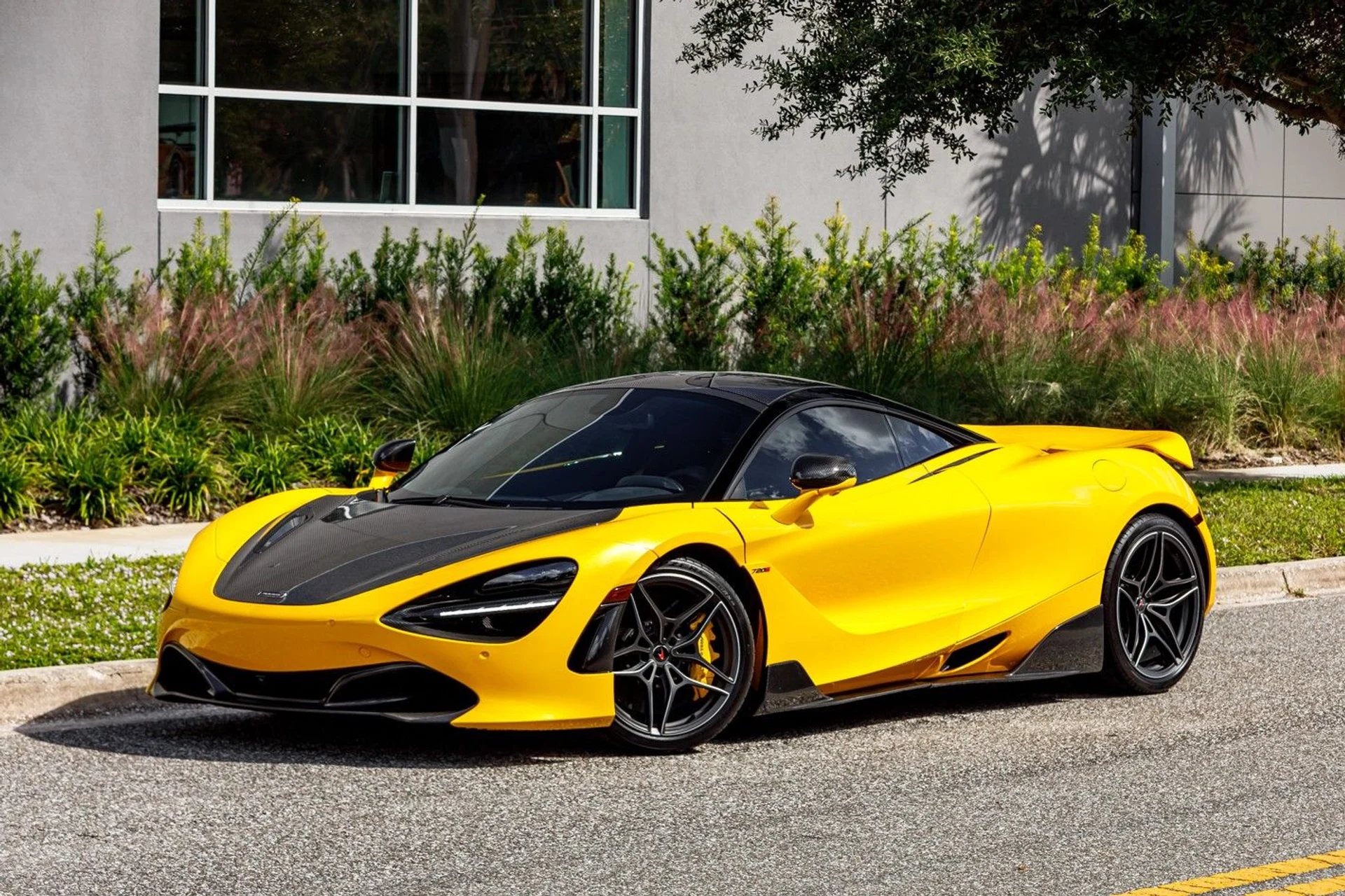 mph001_316758680_171_p2_l_70f91684ec