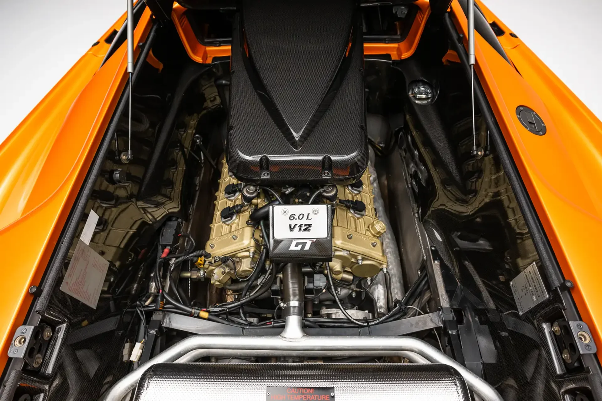 mph001_319646878_6a8ce559c46d04559c2bcf71_gallery_image_1_1787618644374_70e5f07a1d