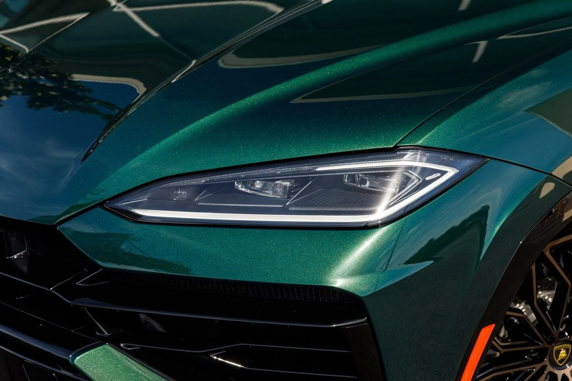 mph001_3454596935_2f2ab761d6687aef479329eca7b454cfx_928d7fe324