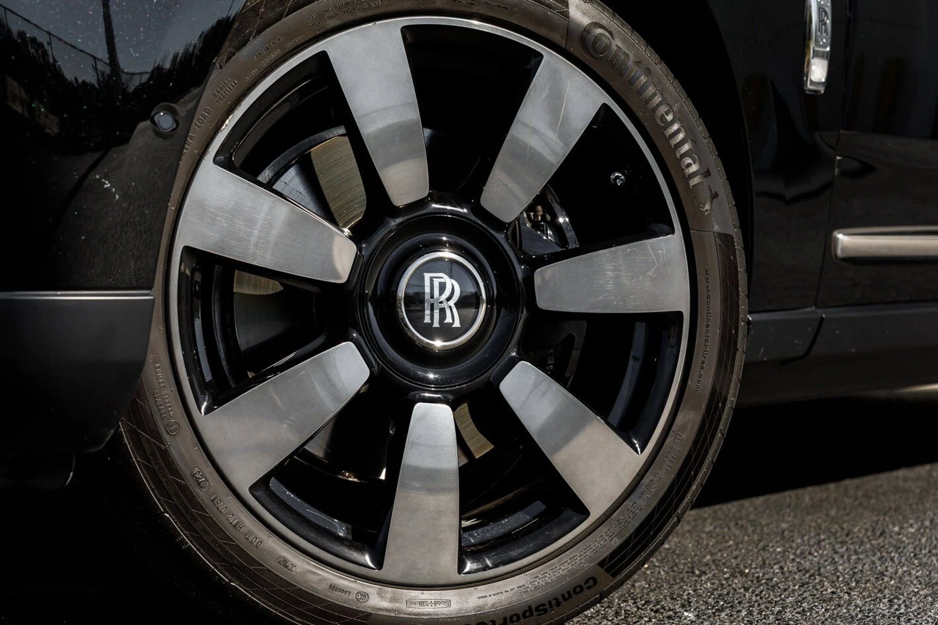 mph001_3483103934_fd5909ee170b2a4c0e51d3a6ab4578d8x_26032d9253