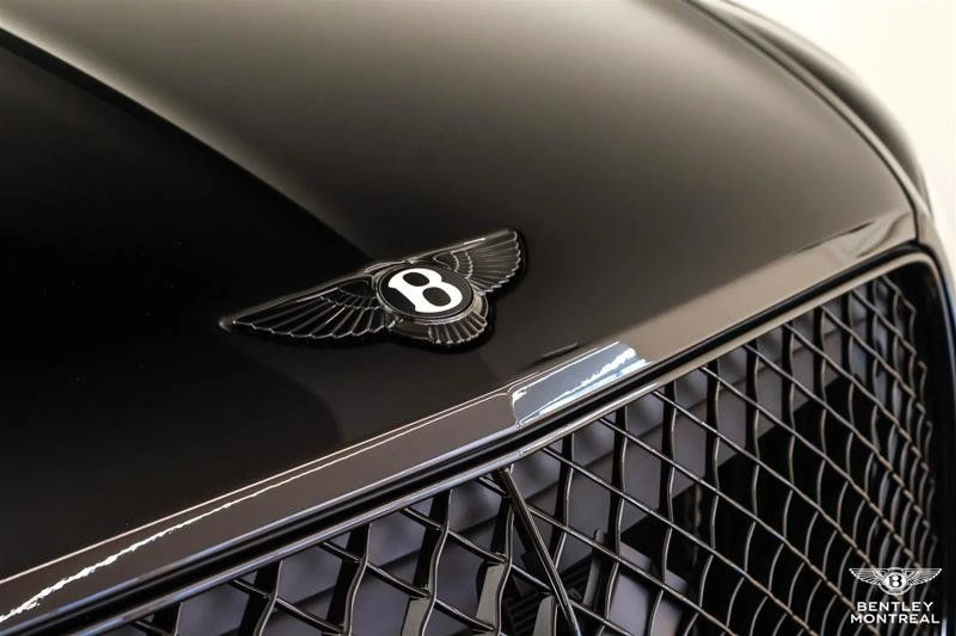 mph001_3533923369_37260651_08800_rx3uno4q_17b51ad9f5