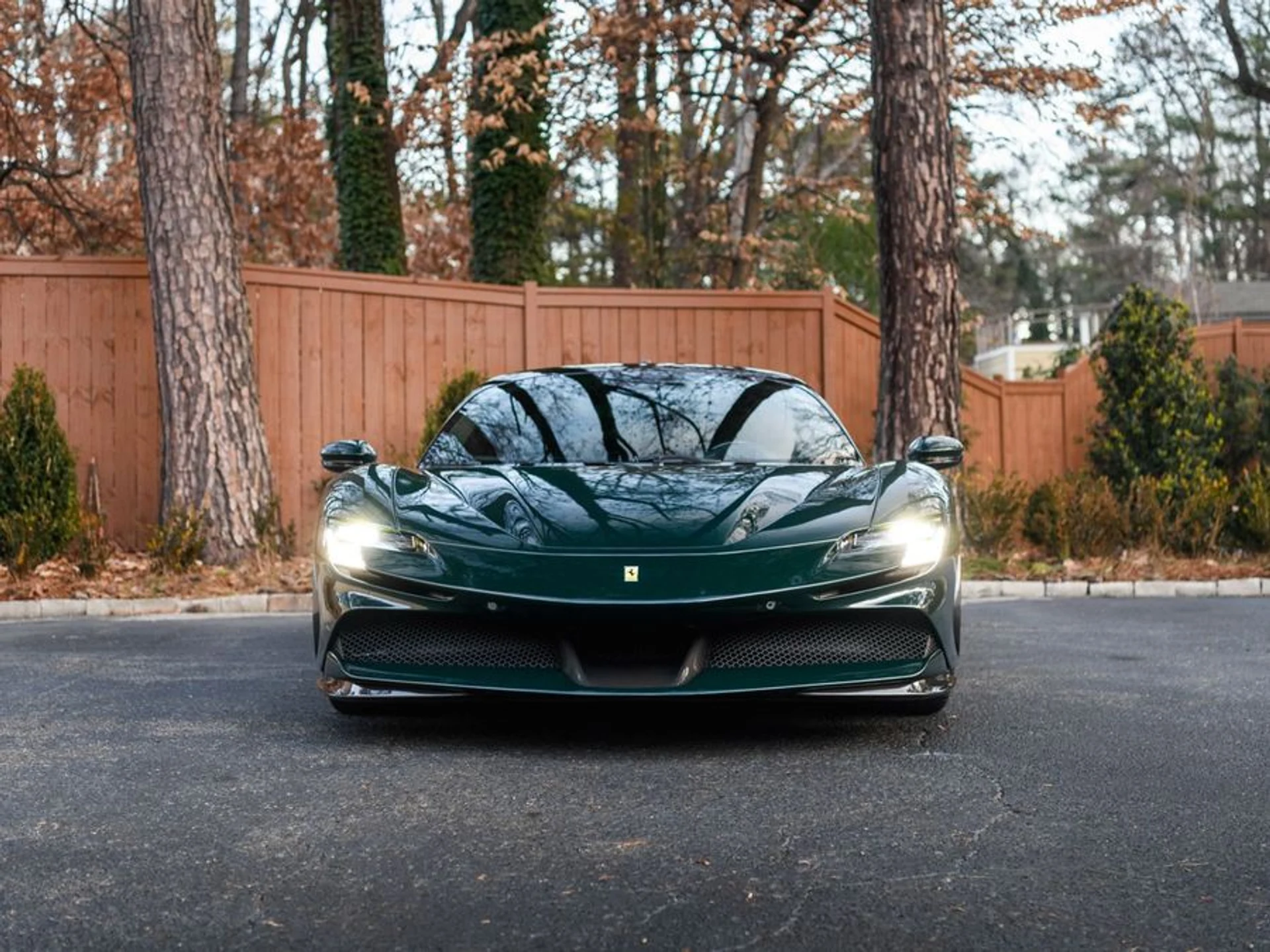 mph001_3634567044_2bad3e7b_07a0_4ee5_9ee4_d3b9814dafca_74d34c78e7