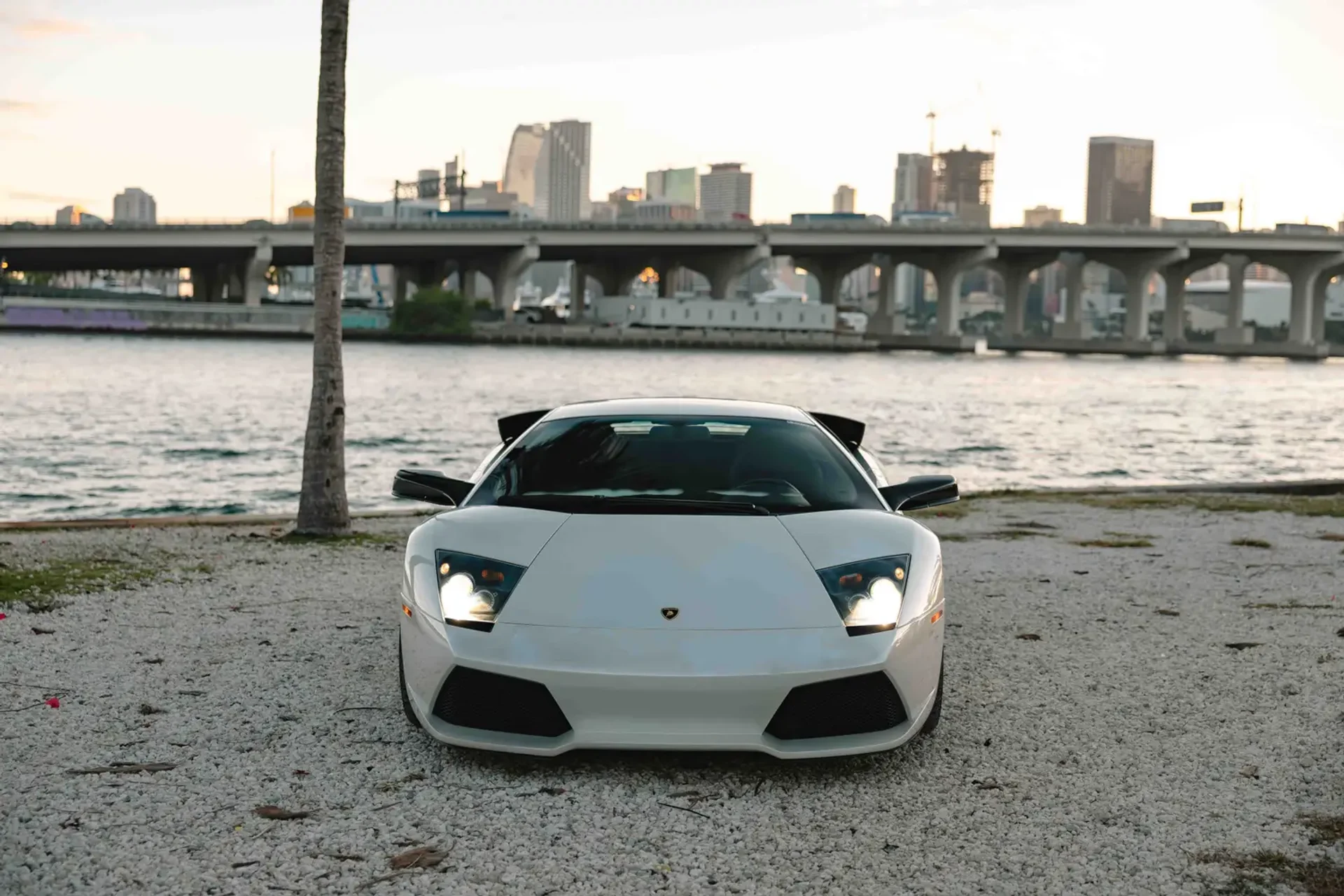 mph001_3690574040_6941da4c44b7ae7d74168c93_gallery_image_1_1765923399096_8a40cda876