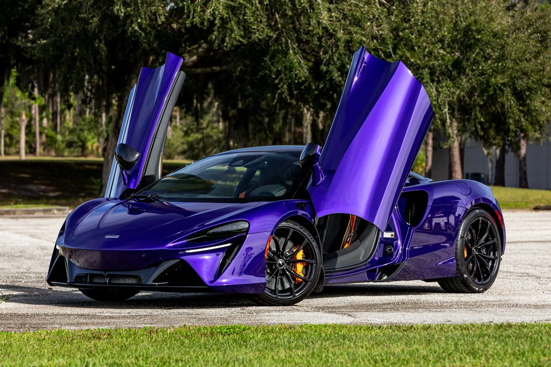 mph001_3732939178_362_p2_l_885a78235d