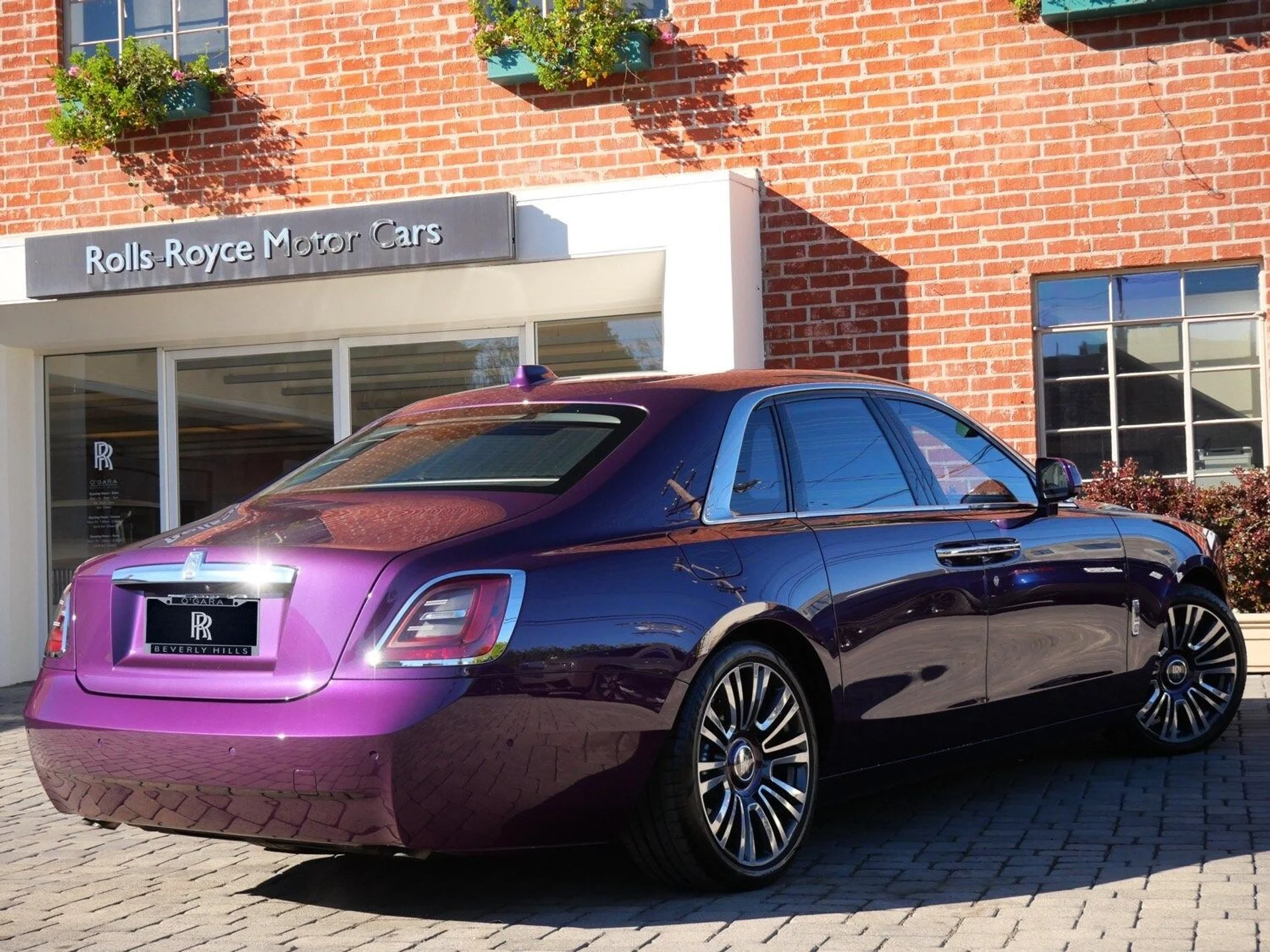 mph001_3771837316_f8f4abdd3495caadb47dcef283268730x_84dcdb08a7