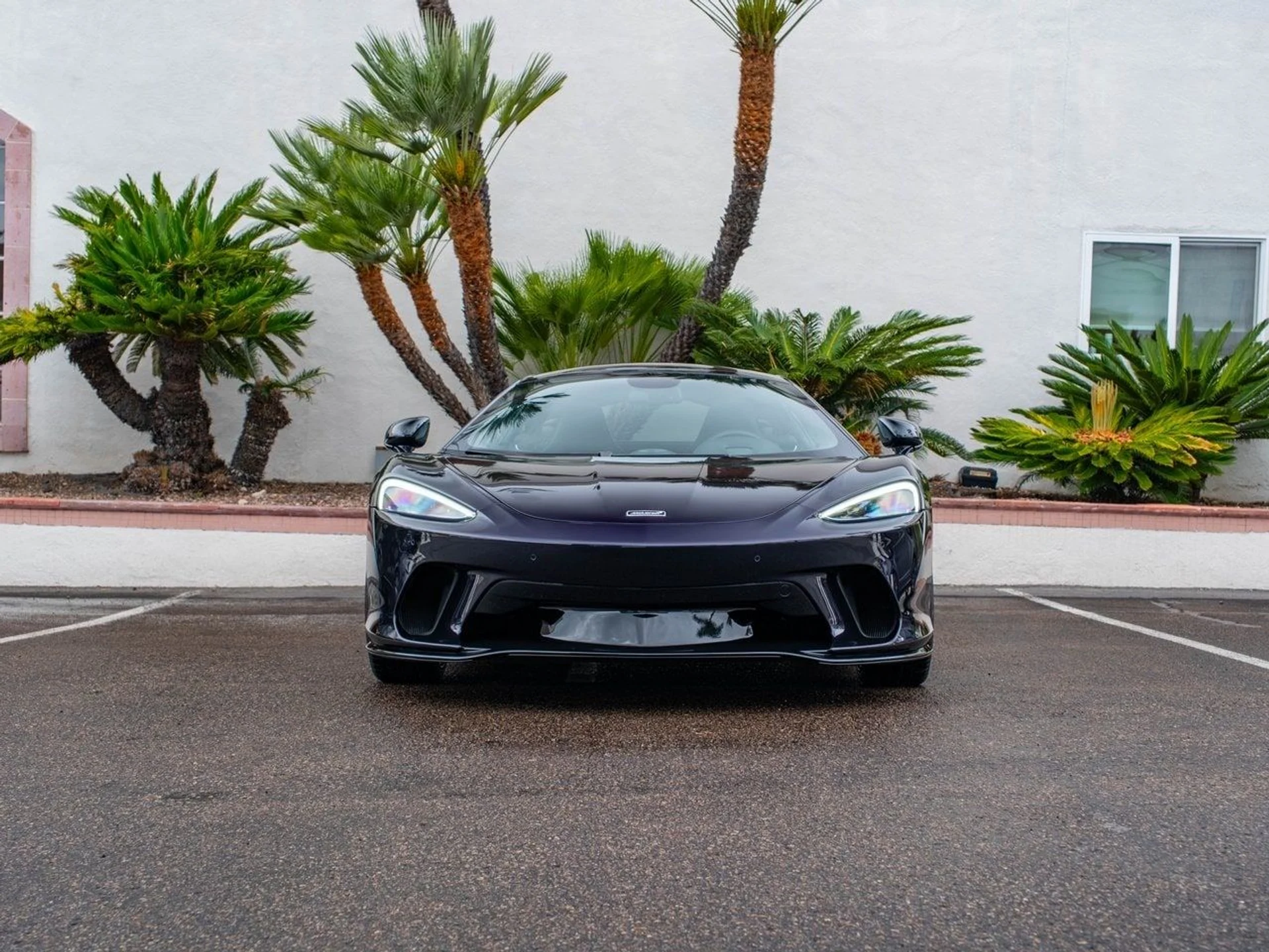 mph001_3774524717_23bd960b833d7d0d3dd494116654d2fex_18b6bc5e74