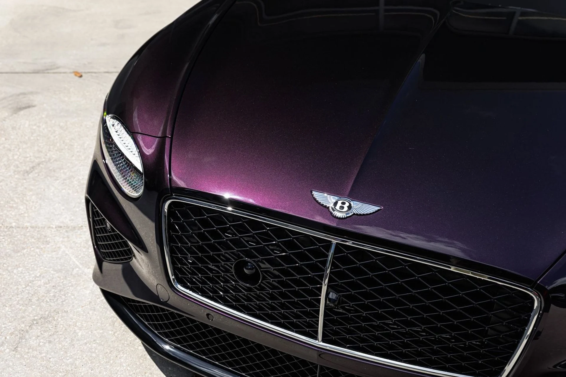 mph001_3812260967_db839d3fa35927a9116aaf0b1567d8f2x_f694d09a47